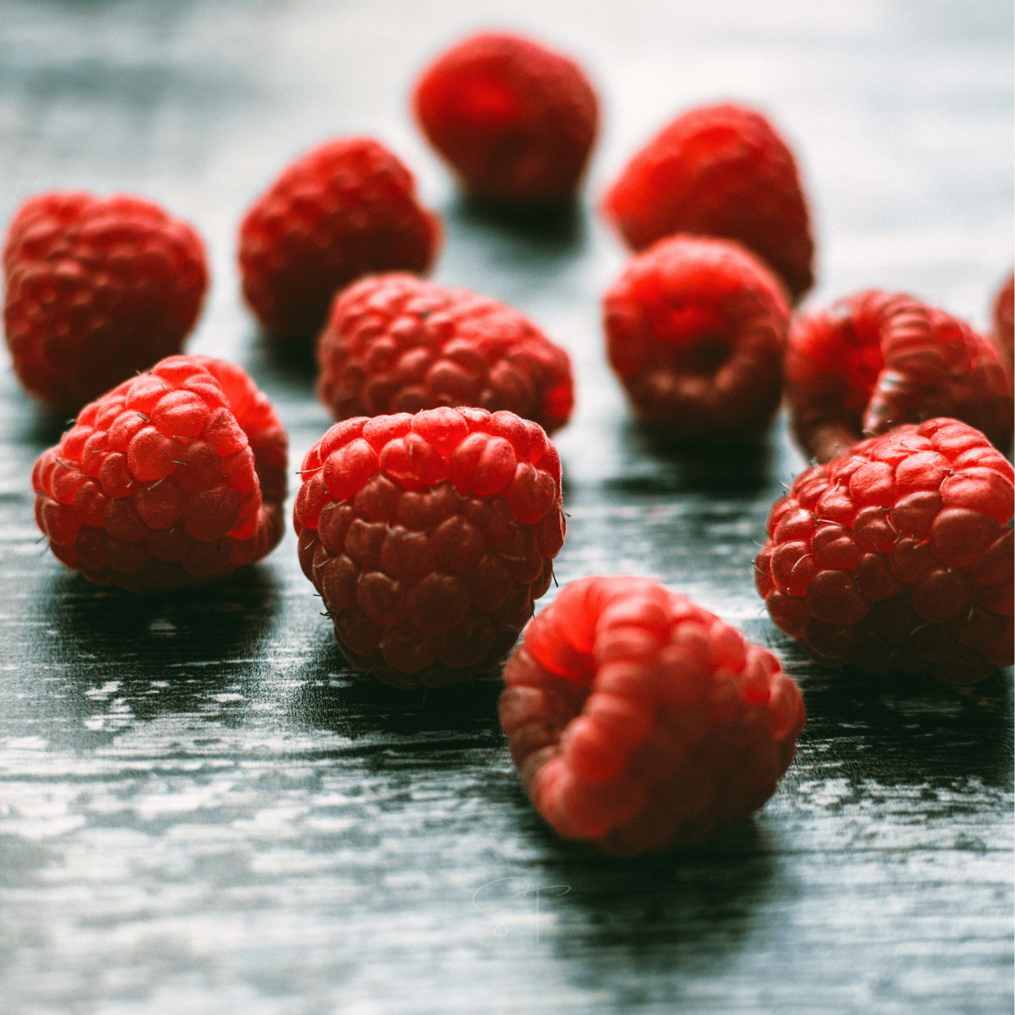 Red European Raspberry – 30 Seeds seed packet from Seed Therapy – American - grown, heirloom seeds