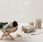 Sage, White - Smudging Sage (Salvia apiana) - 50 Seeds seed packet from Seed Therapy – American - grown, heirloom seeds