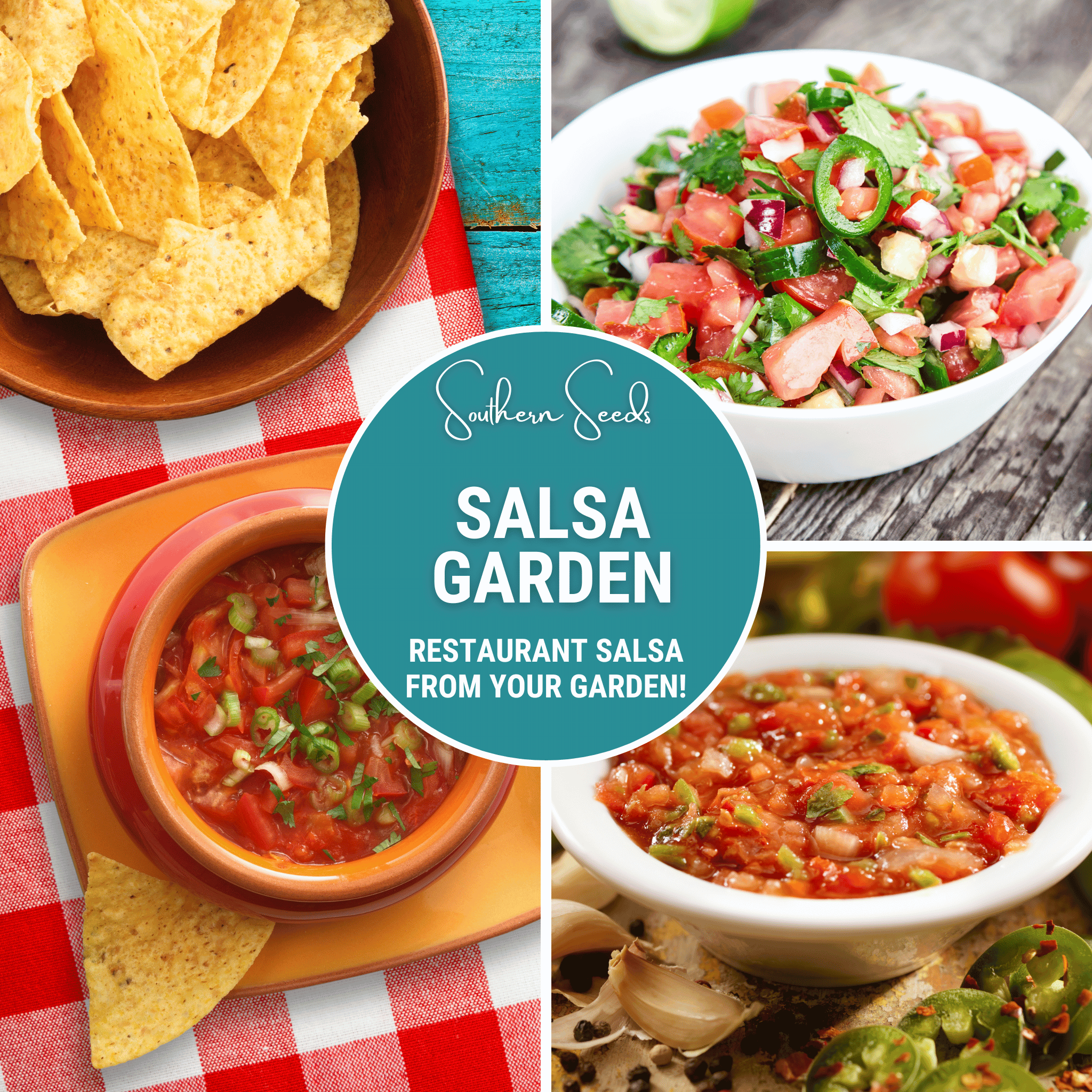 Salsa Seed Collection - Restaurant Style - 10 Amazing Varieties seed packet from Seed Therapy – American - grown, heirloom seeds