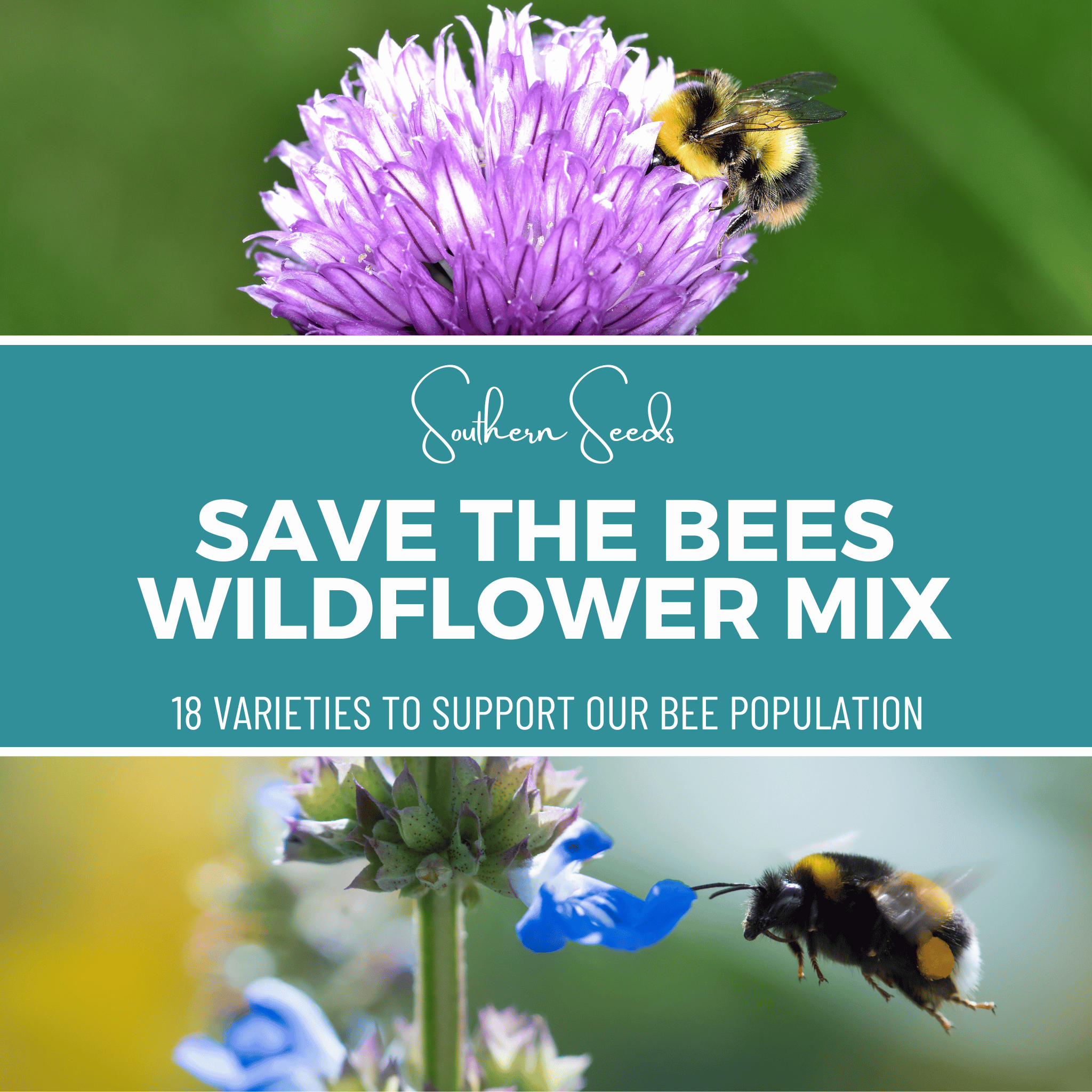 Save the Bees Wildflower Seed Mix - 18 Flower Varieties - 1,000 Seeds seed packet from Seed Therapy – American - grown, heirloom seeds