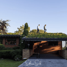 Sedum, Roof Mix - 500 Seeds seed packet from Seed Therapy – American - grown, heirloom seeds