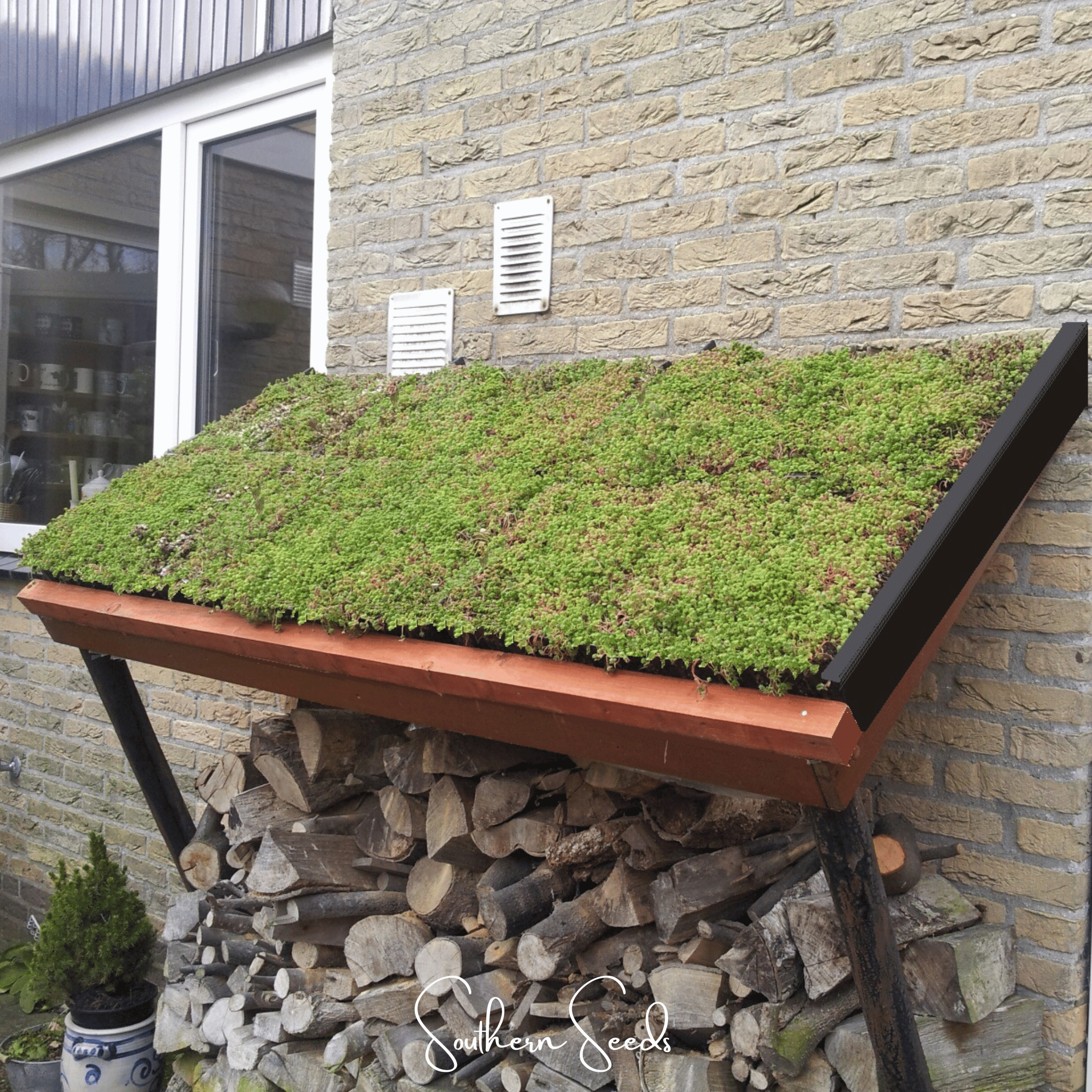 Sedum, Roof Mix - 500 Seeds seed packet from Seed Therapy – American - grown, heirloom seeds