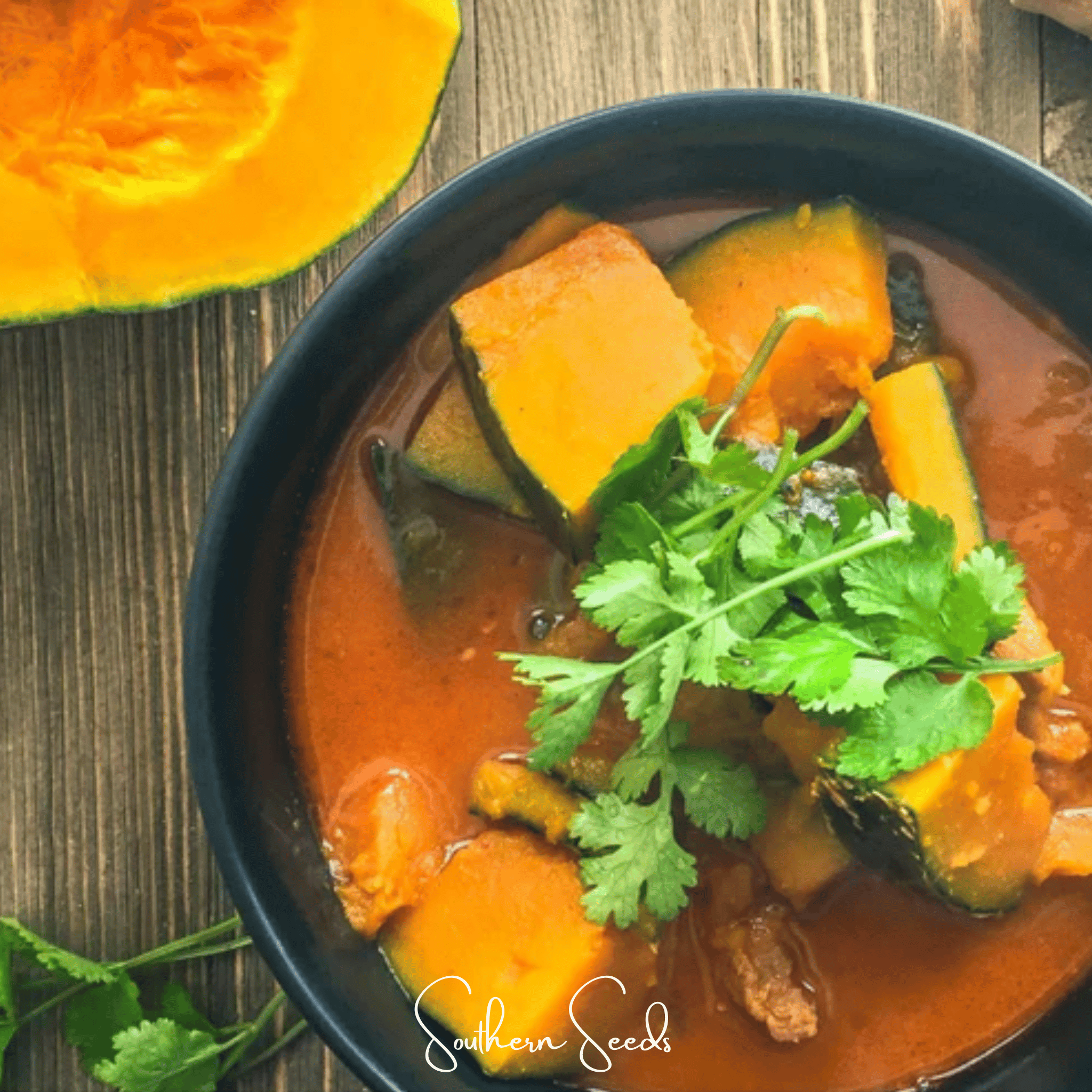 Squash, Kabocha Black Forest (Cucurbita maxima) - 10 Seeds seed packet from Seed Therapy – American - grown, heirloom seeds