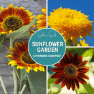Sunflower Seed Collection - 6 Varieties seed packet from Seed Therapy – American - grown, heirloom seeds