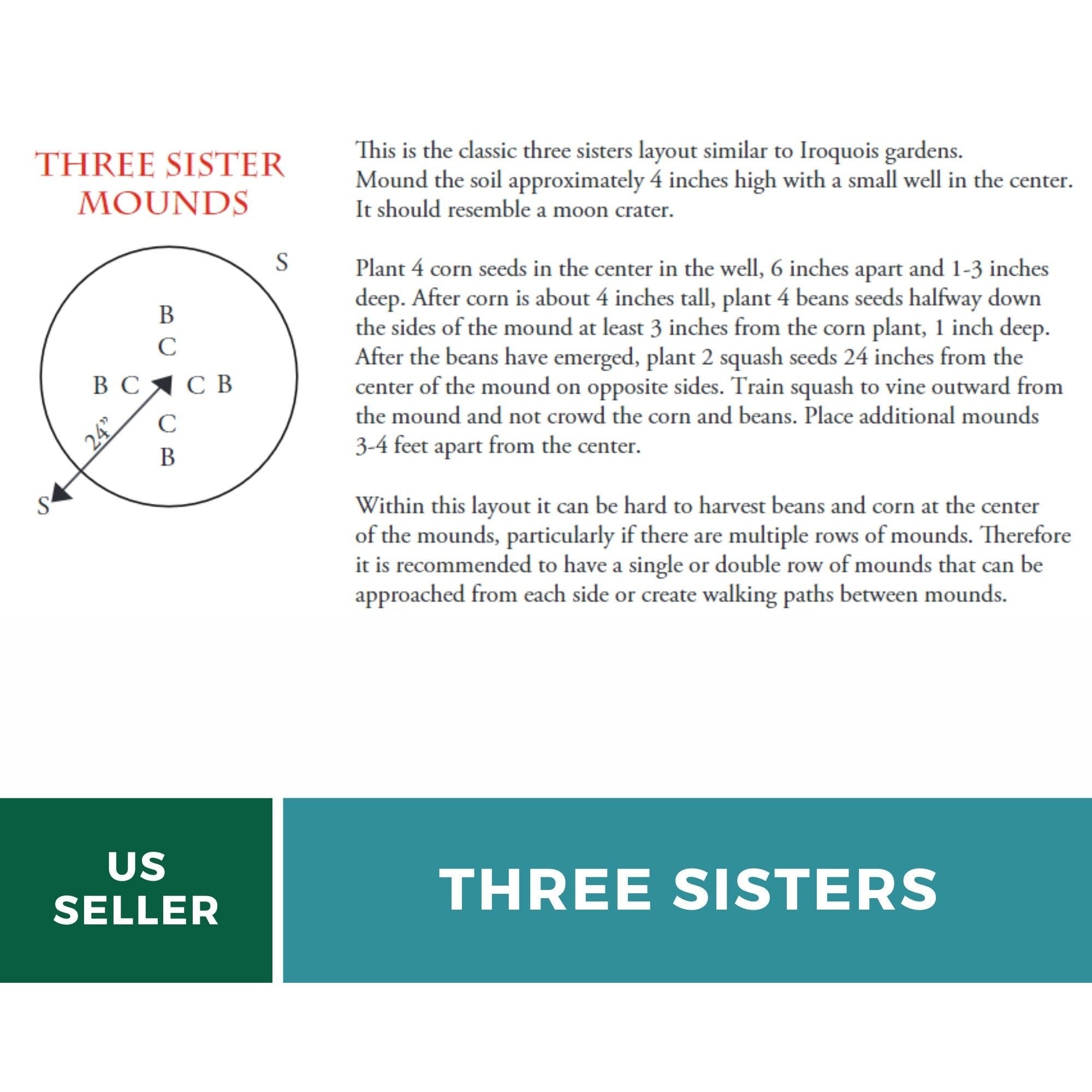 Three Sisters Seed Collection - Native American Farming - Corn, Bean, Squash seed packet from Seed Therapy – American - grown, heirloom seeds