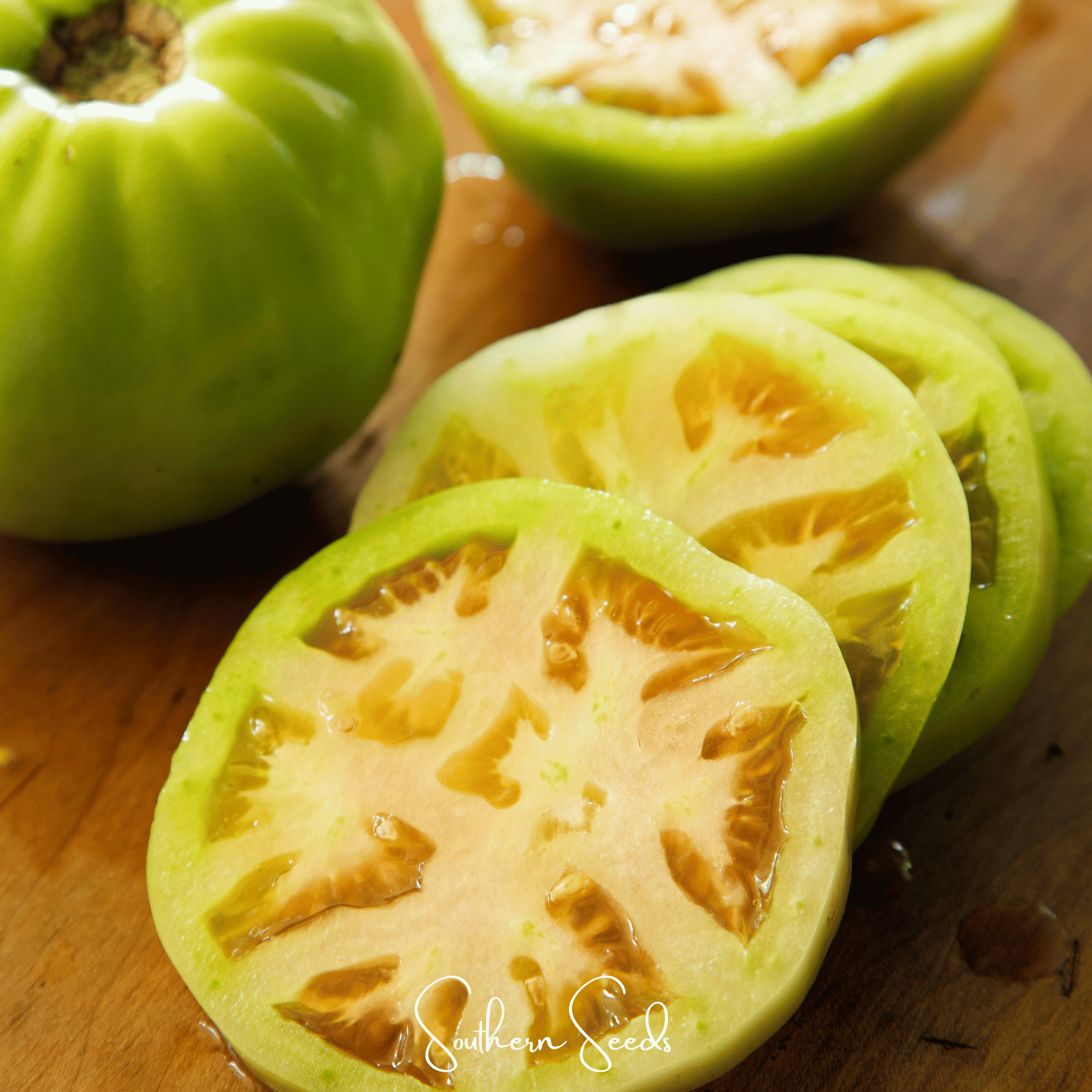 Tomato, Evergreen - Tasty (Solanum lycopersicum) - 50 Seeds seed packet from Seed Therapy – American - grown, heirloom seeds