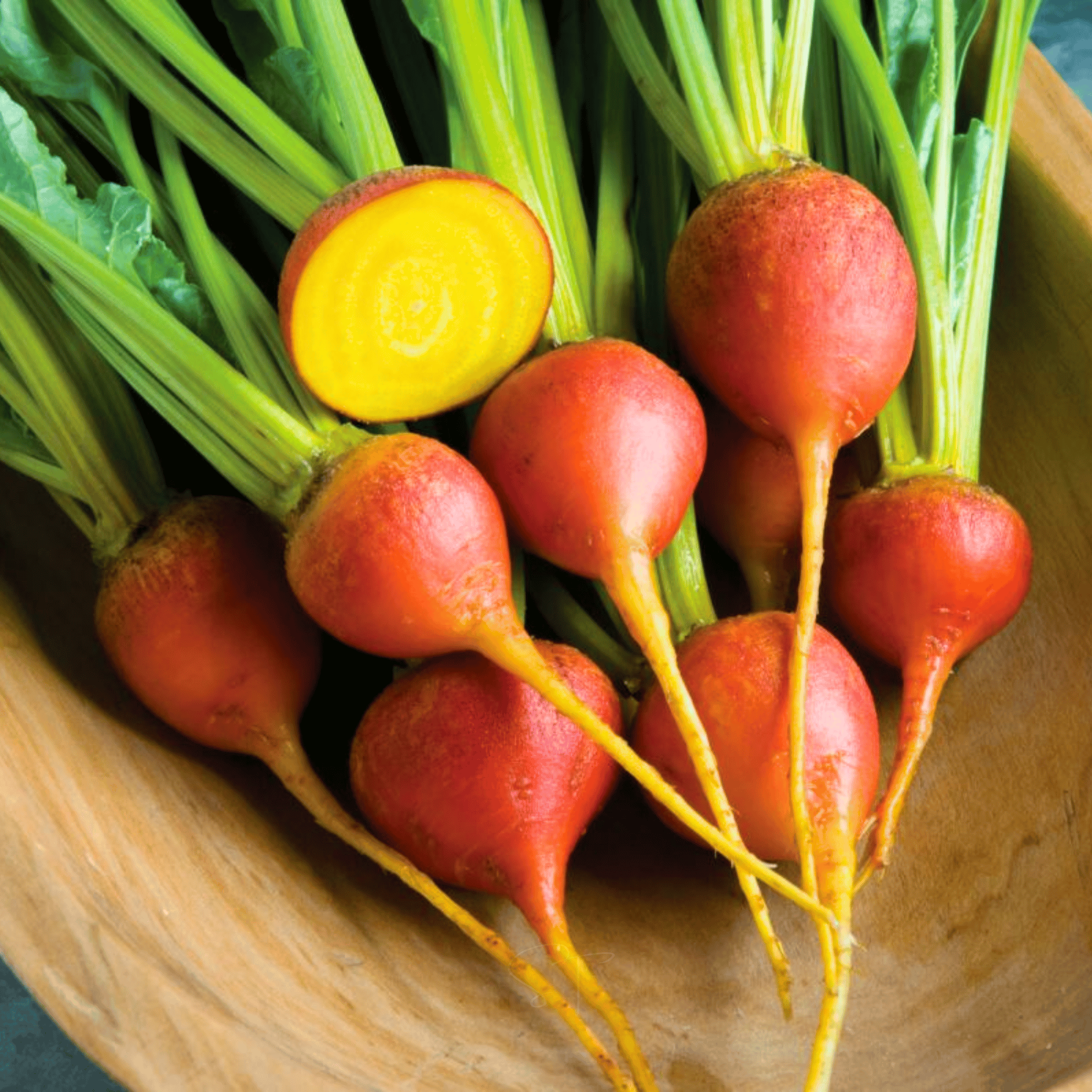 Touchstone Beet – 50 Seeds seed packet from Seed Therapy – American - grown, heirloom seeds