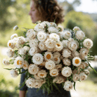 Vintage White Strawflower - 50 Seeds seed packet from Seed Therapy – American - grown, heirloom seeds
