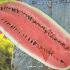 Watermelon, Congo (Citrullus lanatus) - 25 Seeds seed packet from Seed Therapy – American - grown, heirloom seeds