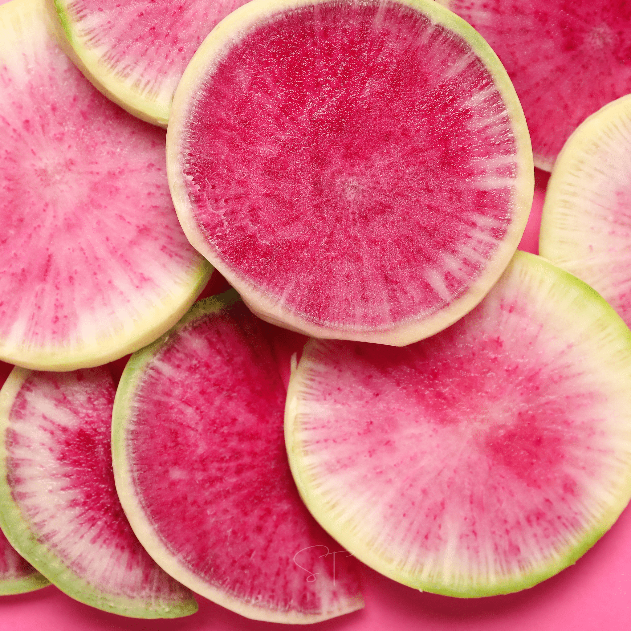 Watermelon Radish – 50 Seeds seed packet from Seed Therapy – American - grown, heirloom seeds