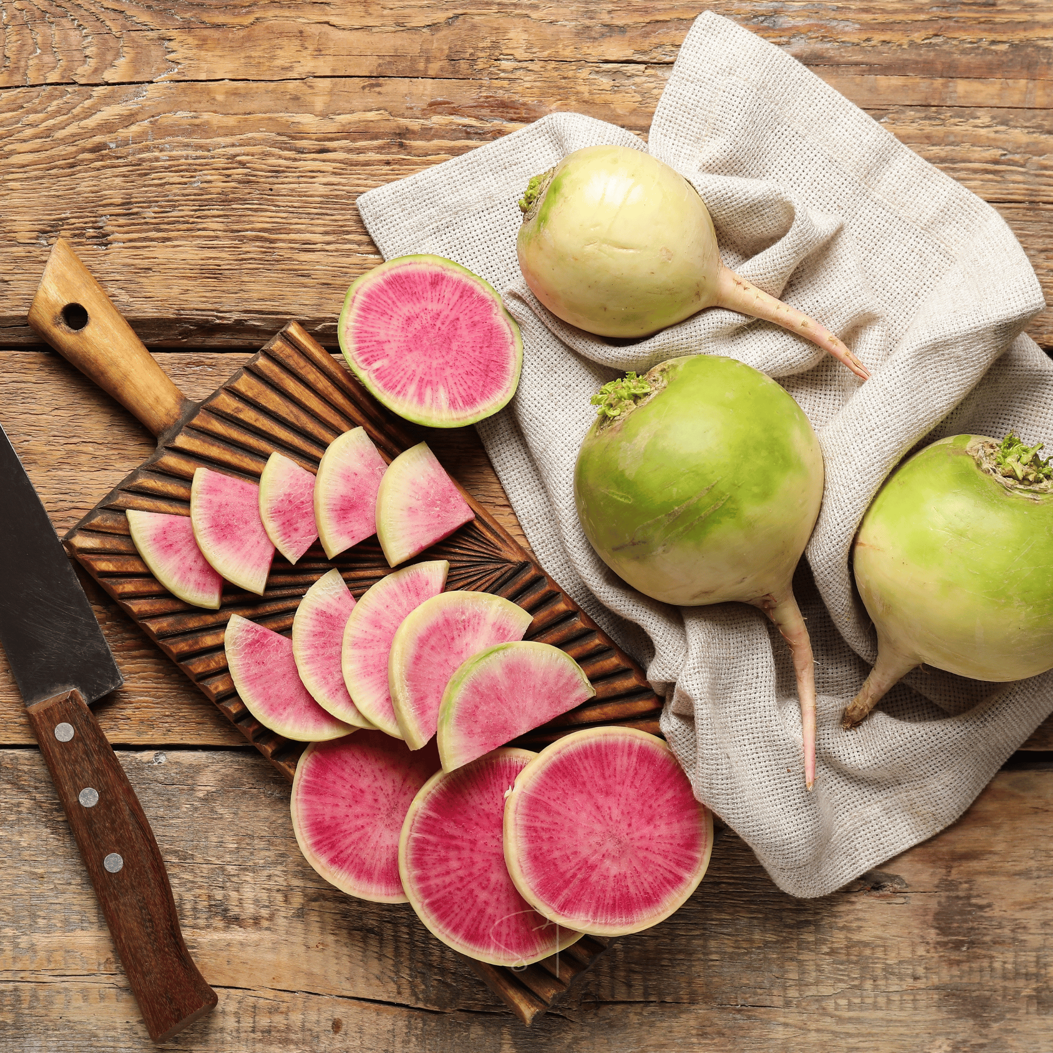 Watermelon Radish – 50 Seeds seed packet from Seed Therapy – American - grown, heirloom seeds