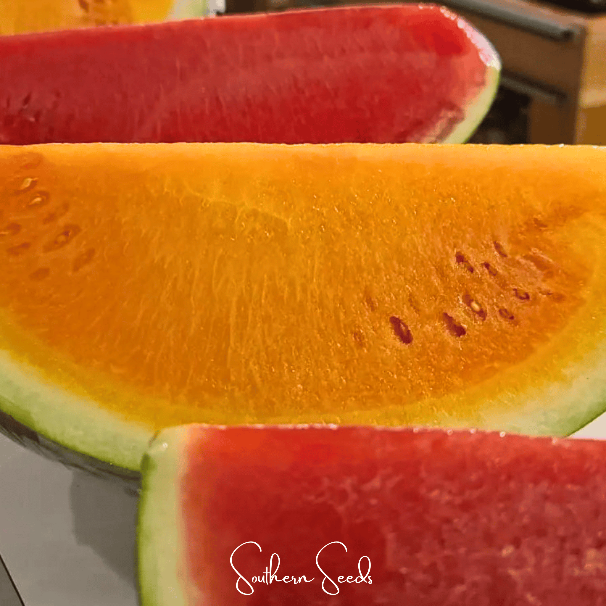 Watermelon, Tendersweet Orange (Citrullus lanatus) - 25 Seeds seed packet from Seed Therapy – American - grown, heirloom seeds