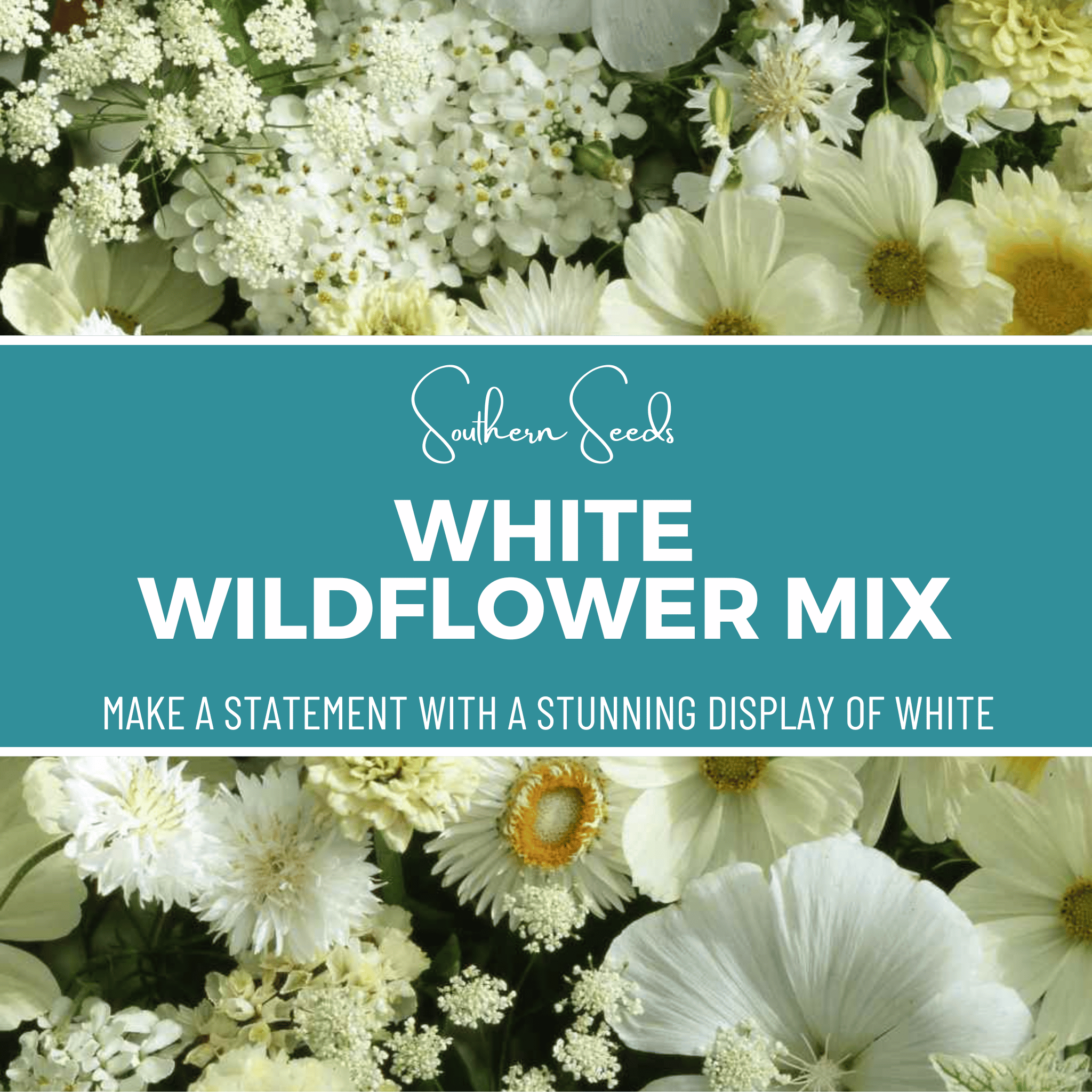 White Wildflower Seed Mix, White seeds - Elegant White Blooms - 100 Seeds seed packet from Seed Therapy – American - grown, heirloom seeds