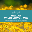 Yellow Wildflower Seed Mix - Brighten Your Garden - 1,000 Seeds seed packet from Seed Therapy – American - grown, heirloom seeds
