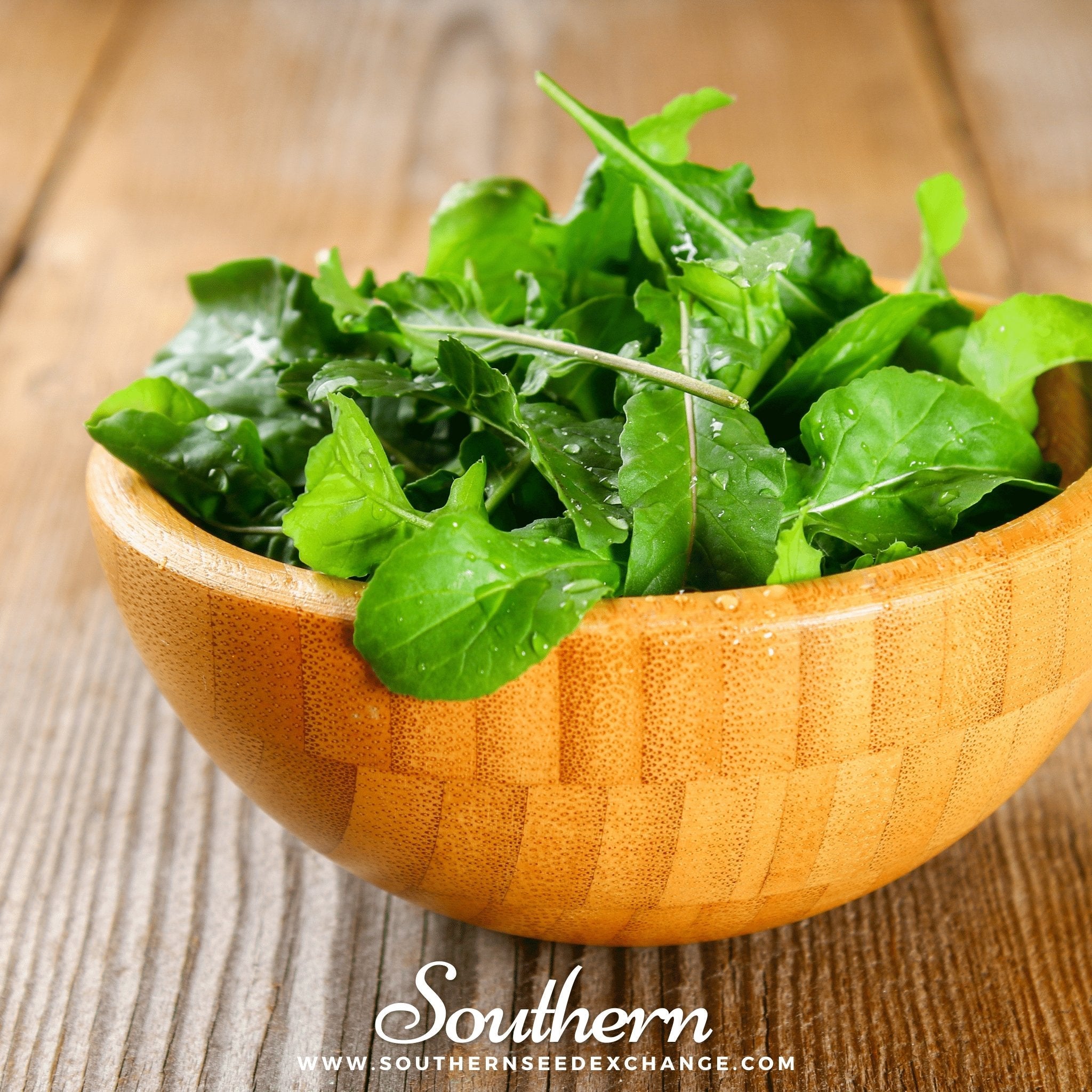 Arugula, Roquette (Eruca vesicaria sativa) - 200 Seeds seed packet from Seed Therapy – American - grown, heirloom seeds