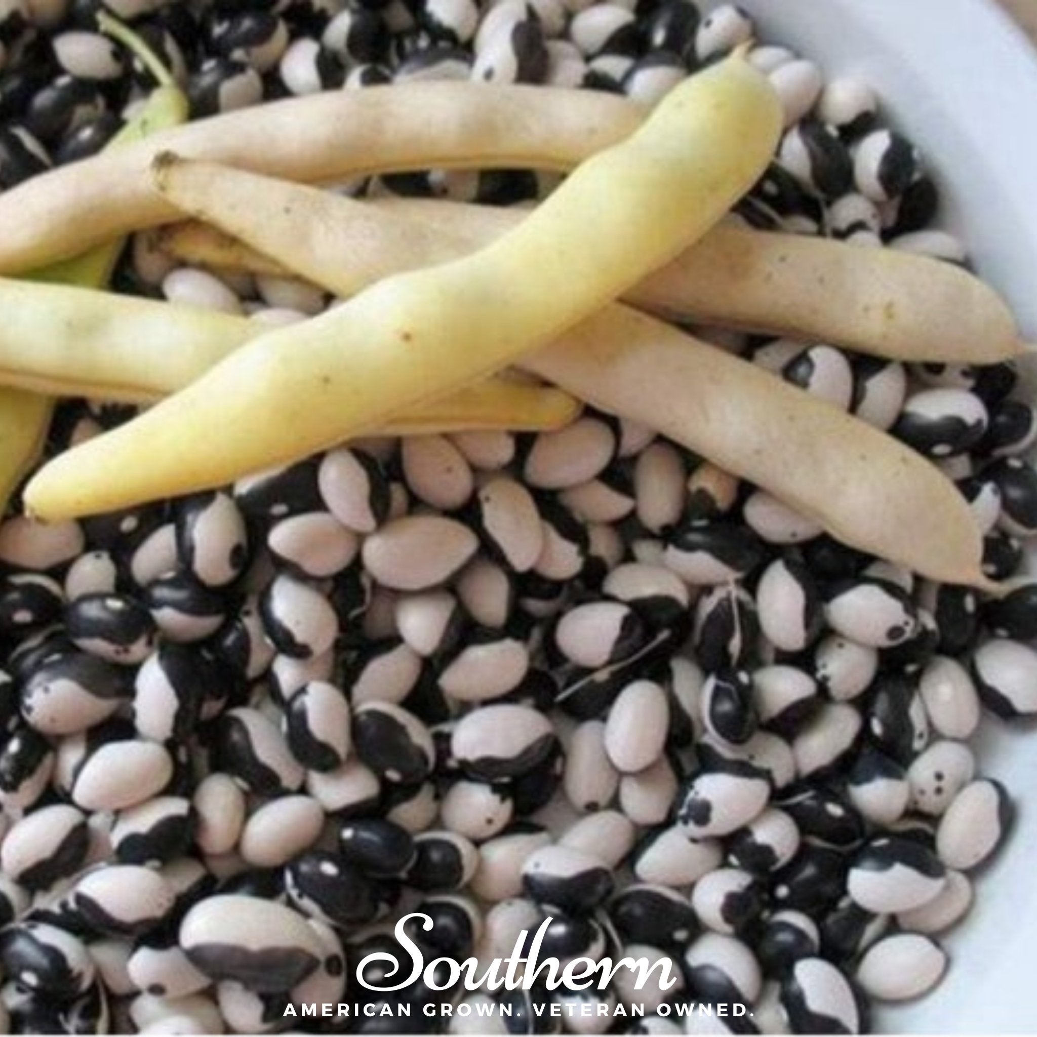 Bean, Calypso - Orca (Phaseolus vulgaris) - 25 Seeds seed packet from Seed Therapy – American - grown, heirloom seeds
