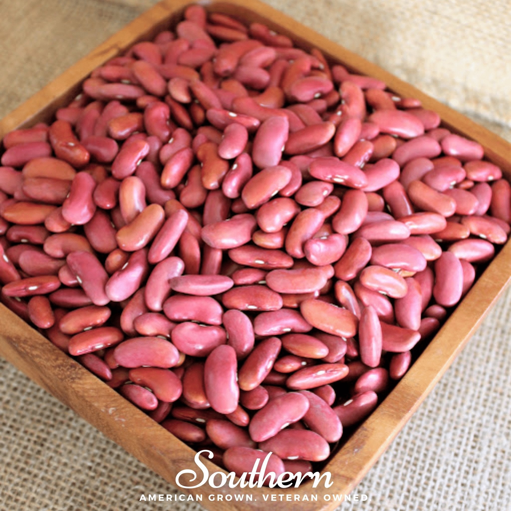 Bean, Kidney, Light Red (Phaseolus vulgaris) - 20 Seeds seed packet from Seed Therapy – American - grown, heirloom seeds