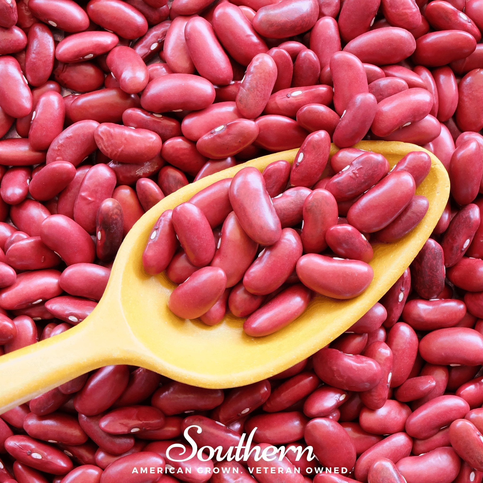 Bean, Kidney, Light Red (Phaseolus vulgaris) - 20 Seeds seed packet from Seed Therapy – American - grown, heirloom seeds
