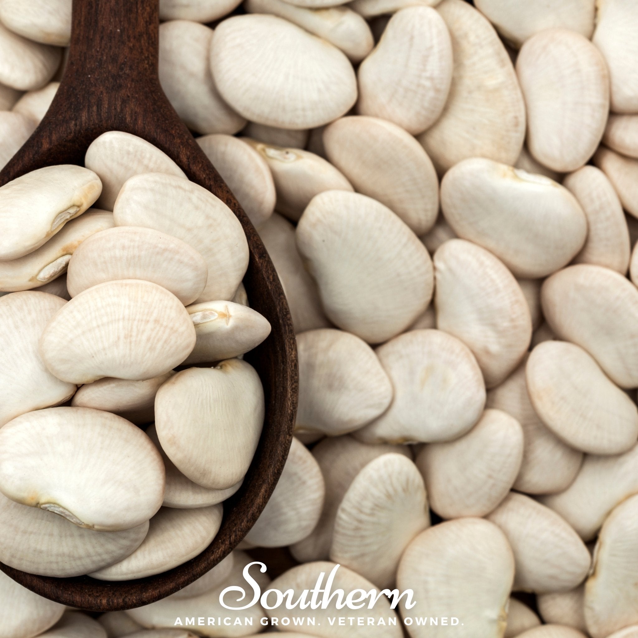 Bean, Lima, King of the Garden (Phaseolus lunatus) - 15 Seeds seed packet from Seed Therapy – American - grown, heirloom seeds