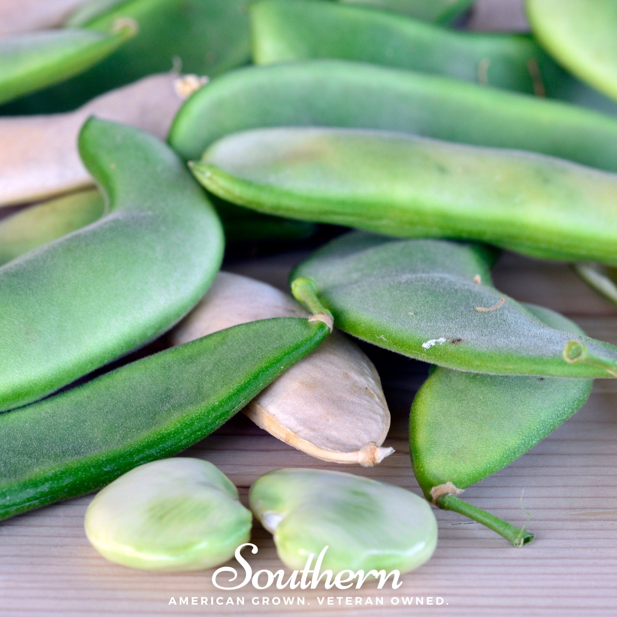 Bean, Lima, White Dixie Butterpeas (Phaseolus lunatus) - 15 Seeds seed packet from Seed Therapy – American - grown, heirloom seeds