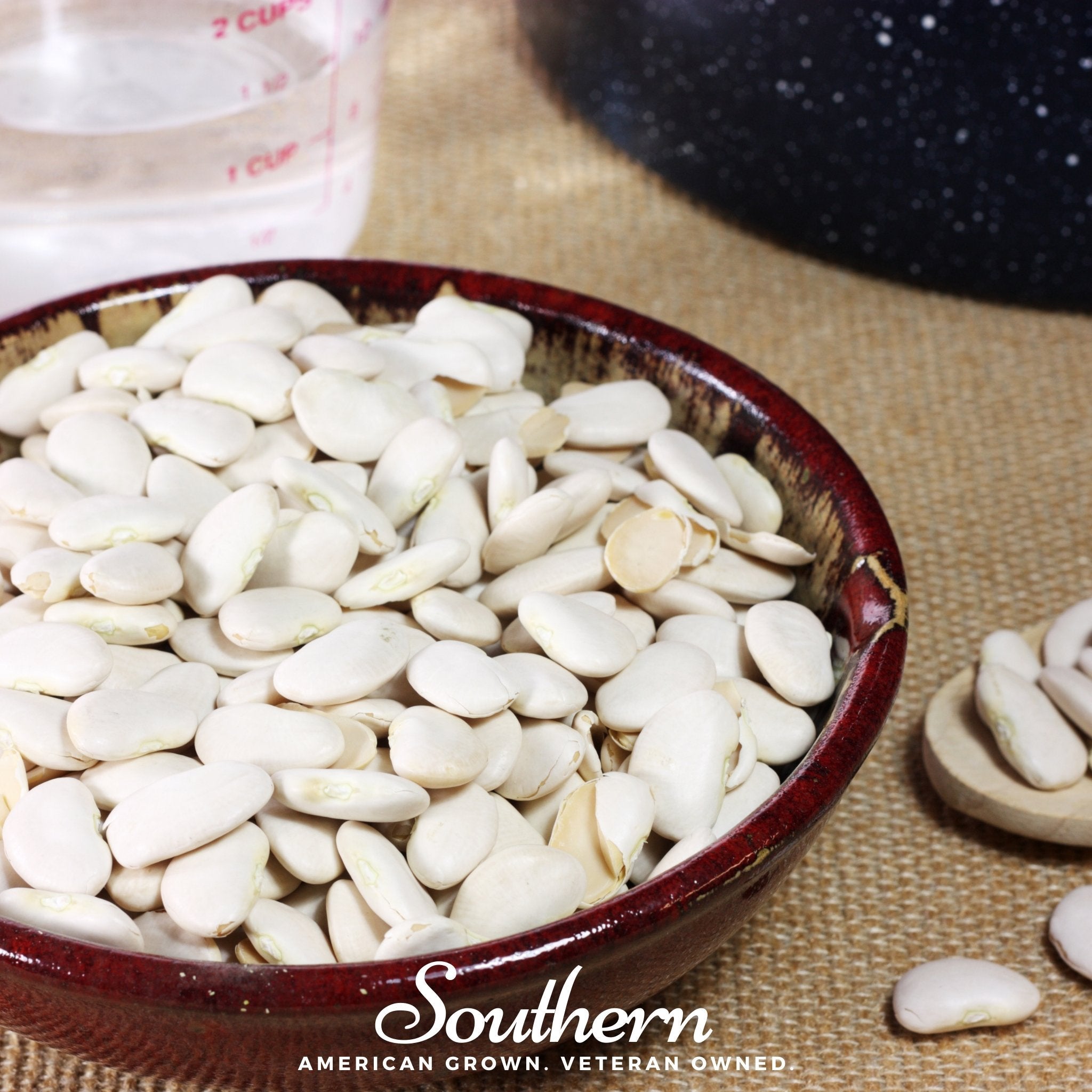 Bean, Lima, White Dixie Butterpeas (Phaseolus lunatus) - 15 Seeds seed packet from Seed Therapy – American - grown, heirloom seeds