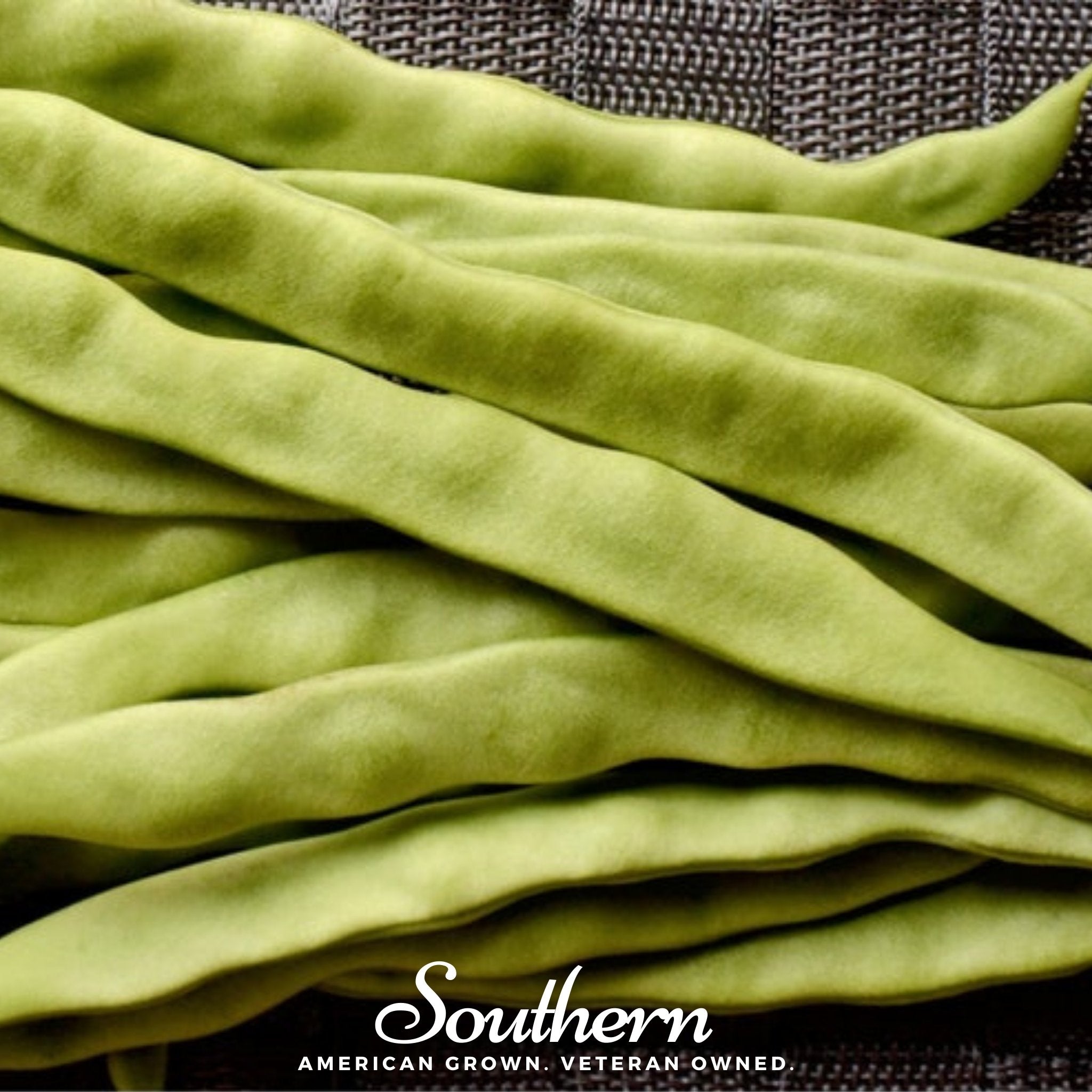 Bean, Roma II (Phaseolus vulgaris) - 30 Seeds seed packet from Seed Therapy – American - grown, heirloom seeds