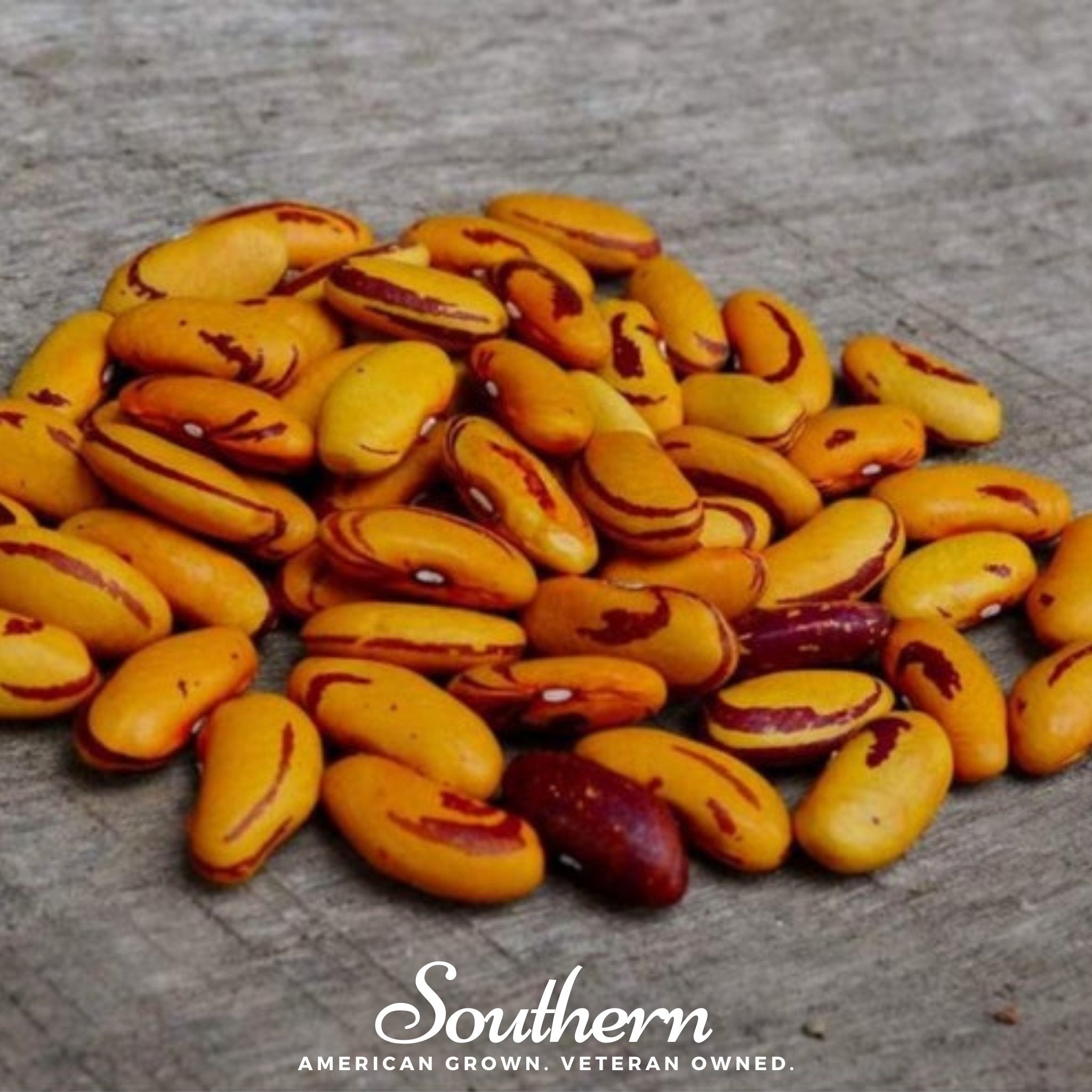 Bean, Tiger's Eye (Phaseolus vulgaris) - 30 Seeds seed packet from Seed Therapy – American - grown, heirloom seeds