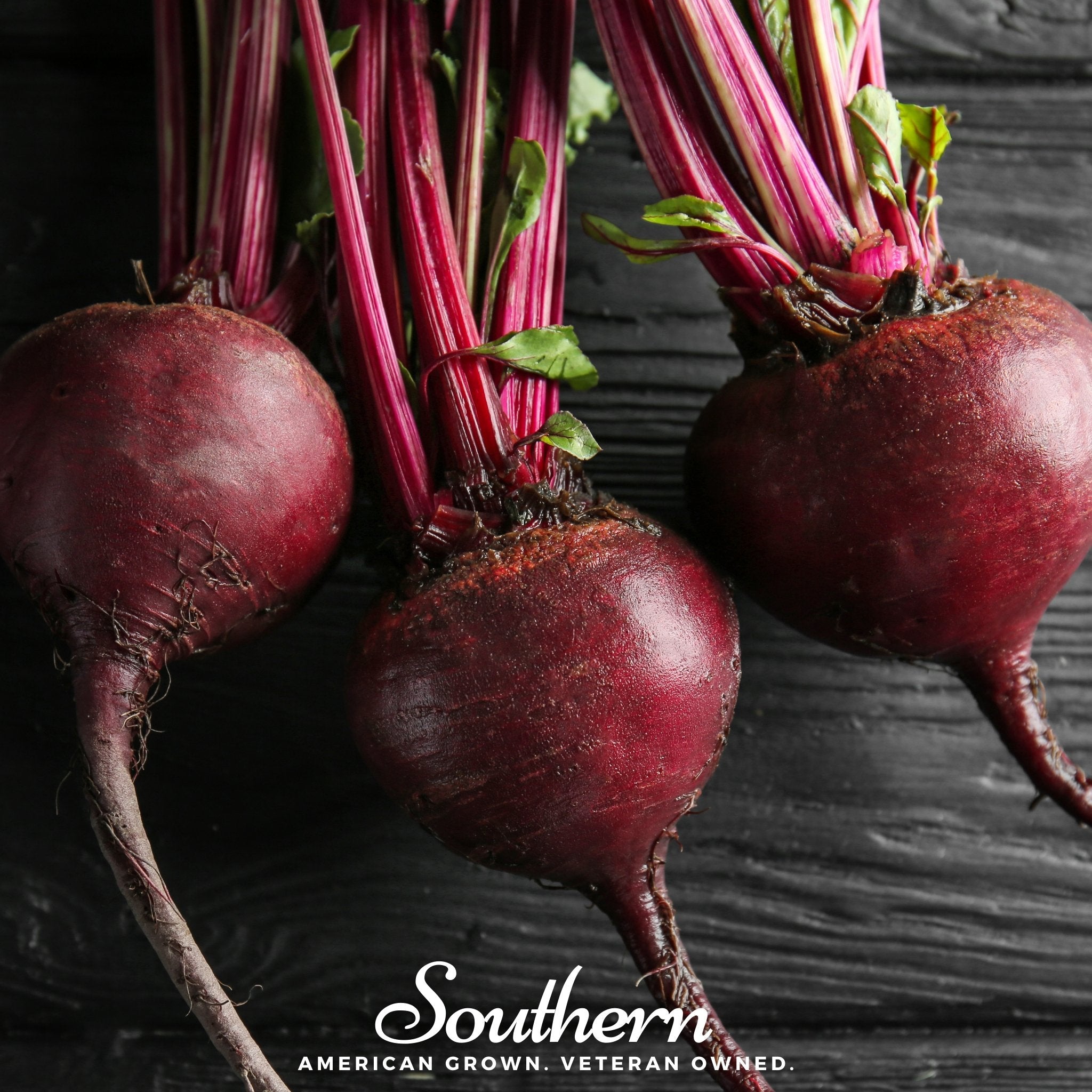 Beet, Detroit Dark Red (Beta vulgaris) - 200 Seeds seed packet from Seed Therapy – American - grown, heirloom seeds