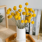 Billy Buttons - Drumsticks (Craspedia globosa) - 50 Seeds seed packet from Seed Therapy – American - grown, heirloom seeds