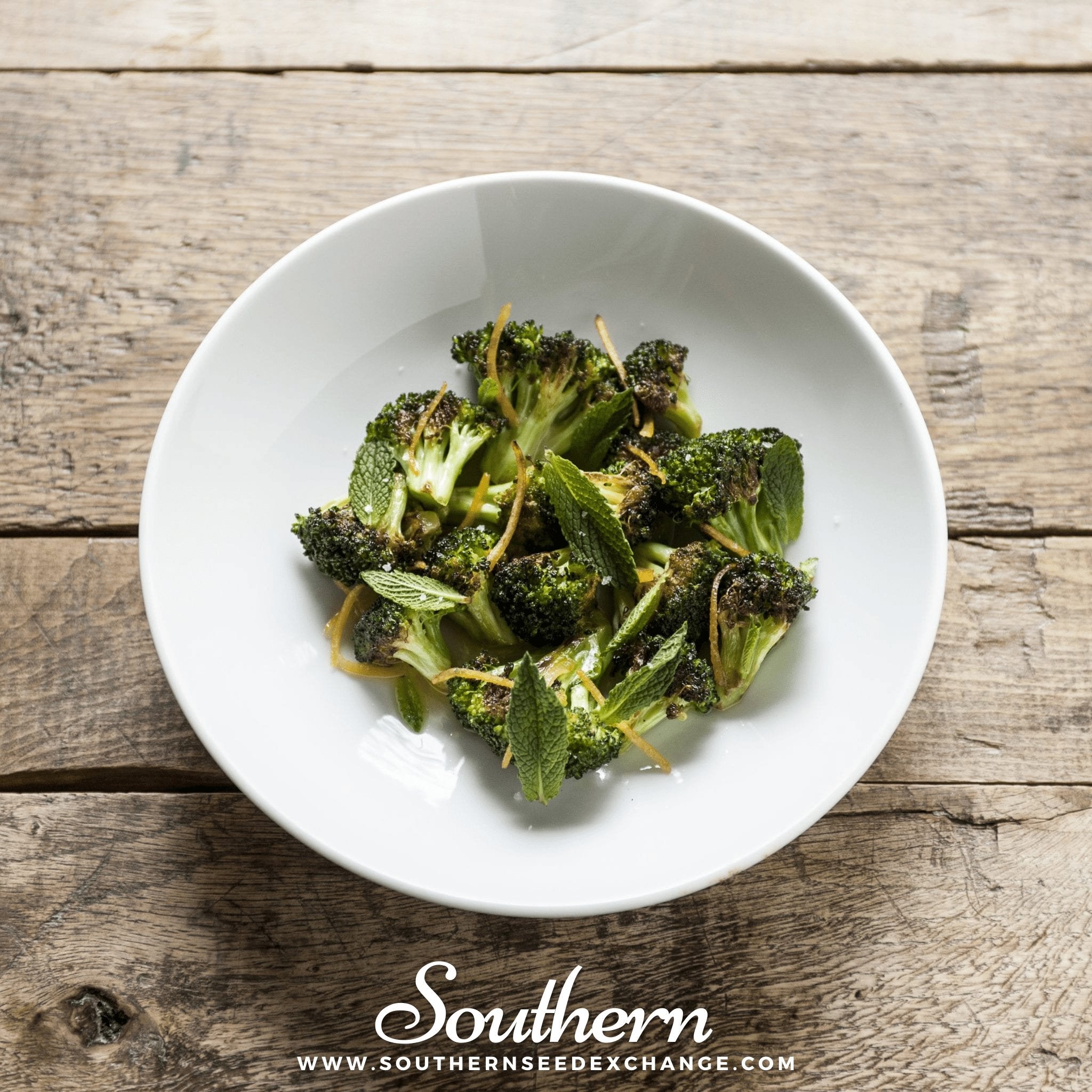 Broccoli, Di Cicco (Brassica oleracea) - 200 Seeds seed packet from Seed Therapy – American - grown, heirloom seeds