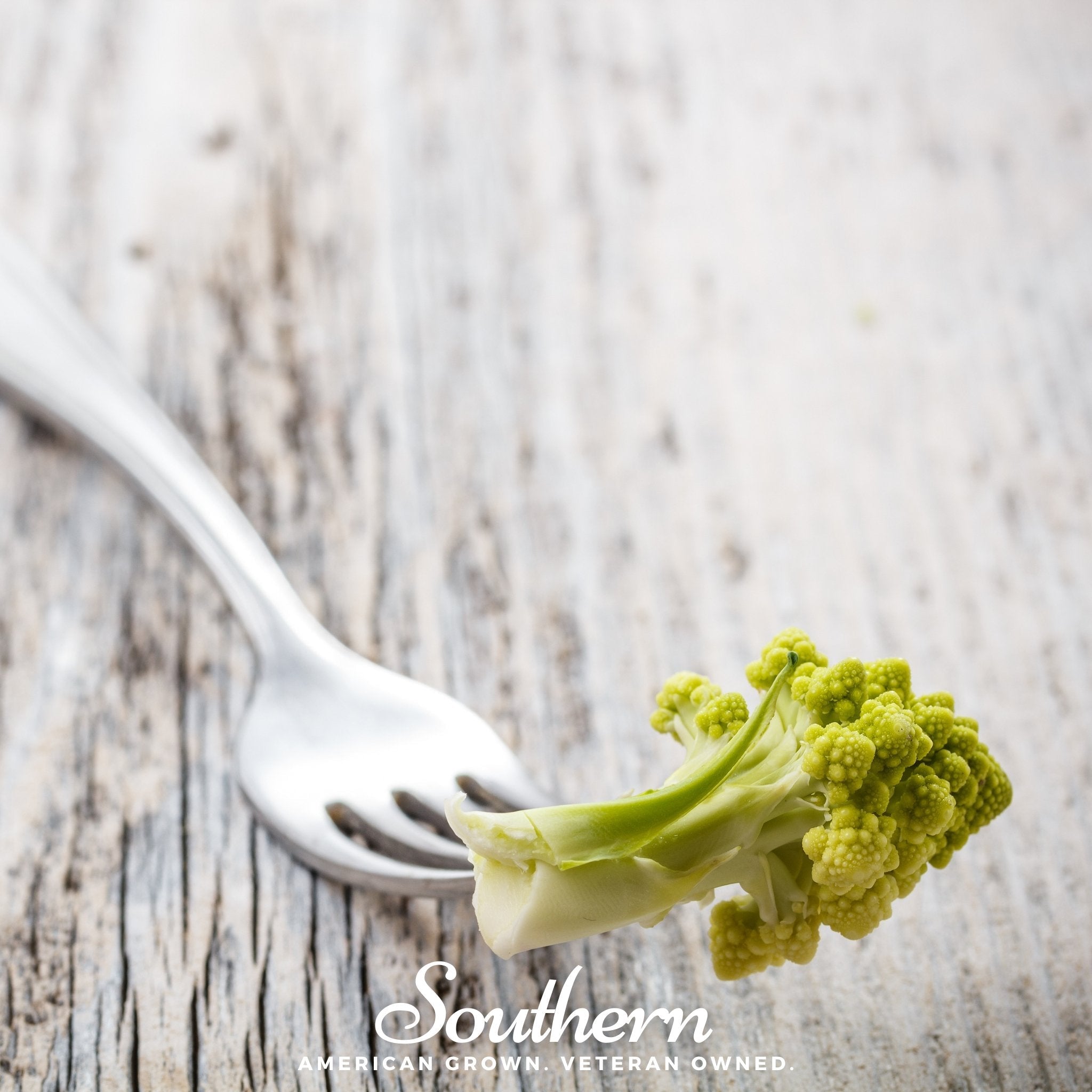 Broccoli, Romanesco (Brassica oleracea) - 100 Seeds seed packet from Seed Therapy – American - grown, heirloom seeds