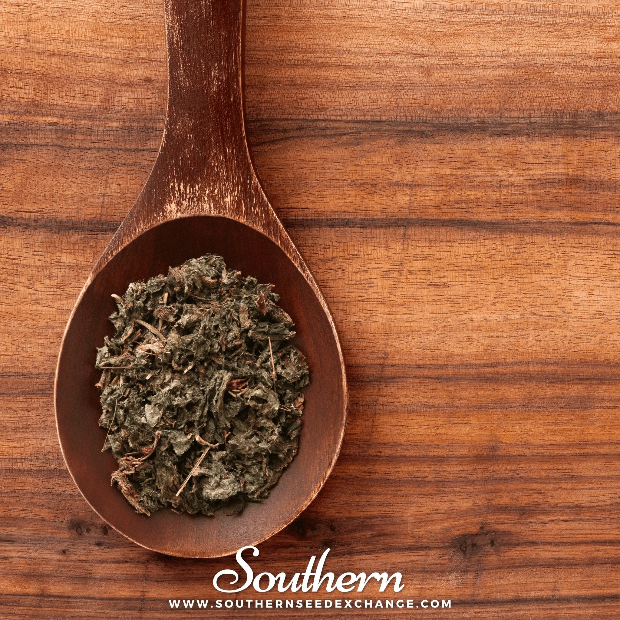 Burdock (Arctium lappa) - 50 Seeds seed packet from Seed Therapy – American - grown, heirloom seeds