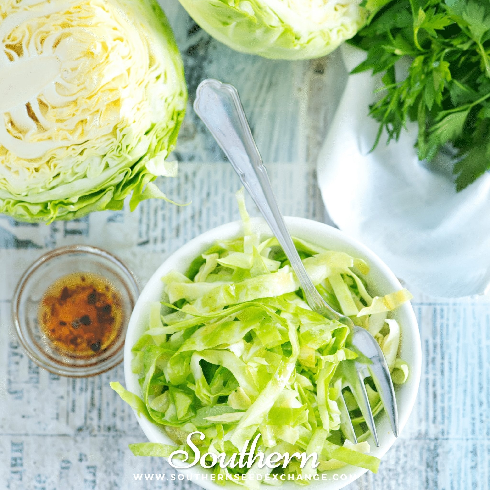 Cabbage, Copenhagen Market (Brassica oleracea) - 100 Seeds seed packet from Seed Therapy – American - grown, heirloom seeds