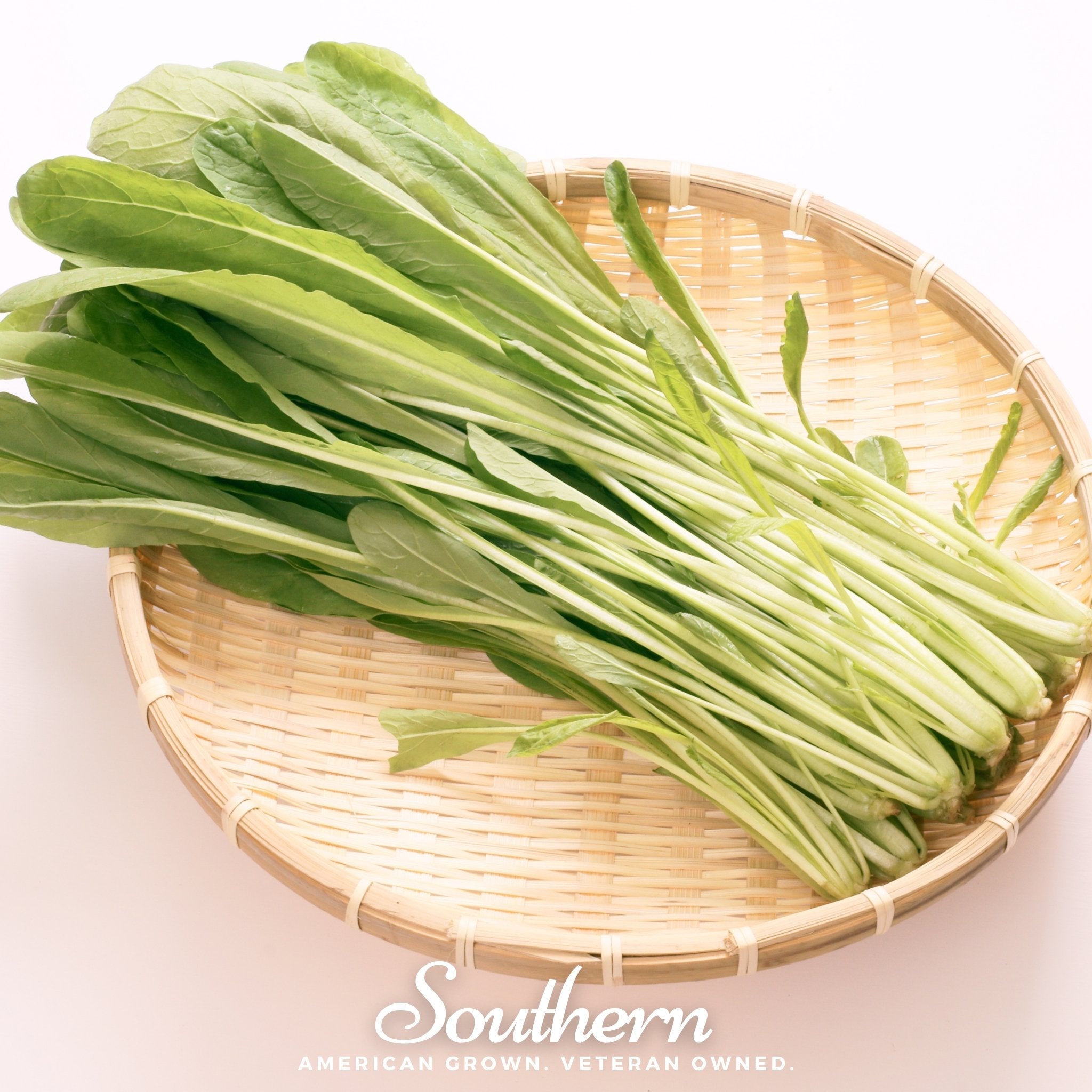 Cabbage, Mibuna Chinese (Brassica oleracea) - 100 Seeds seed packet from Seed Therapy – American - grown, heirloom seeds