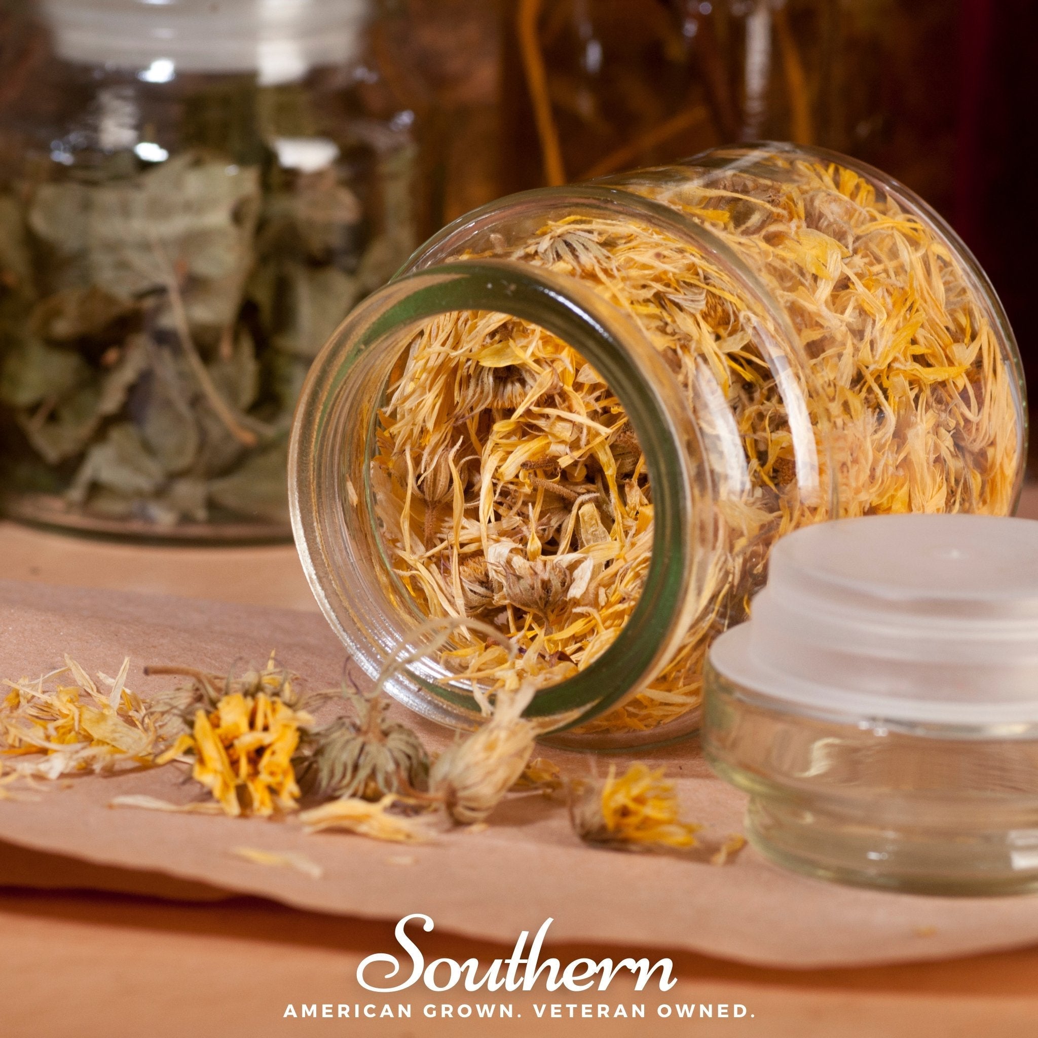 Calendula, Fiesta Gitana (Calendula officinalis) - 100 Seeds seed packet from Seed Therapy – American - grown, heirloom seeds