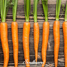 Carrot, Imperator 58 (Daucus carota) - 250 Seeds seed packet from Seed Therapy – American - grown, heirloom seeds