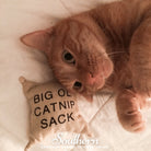 Catnip, Lemon (Nepeta cataria citriodora) - 250 Seeds seed packet from Seed Therapy – American - grown, heirloom seeds