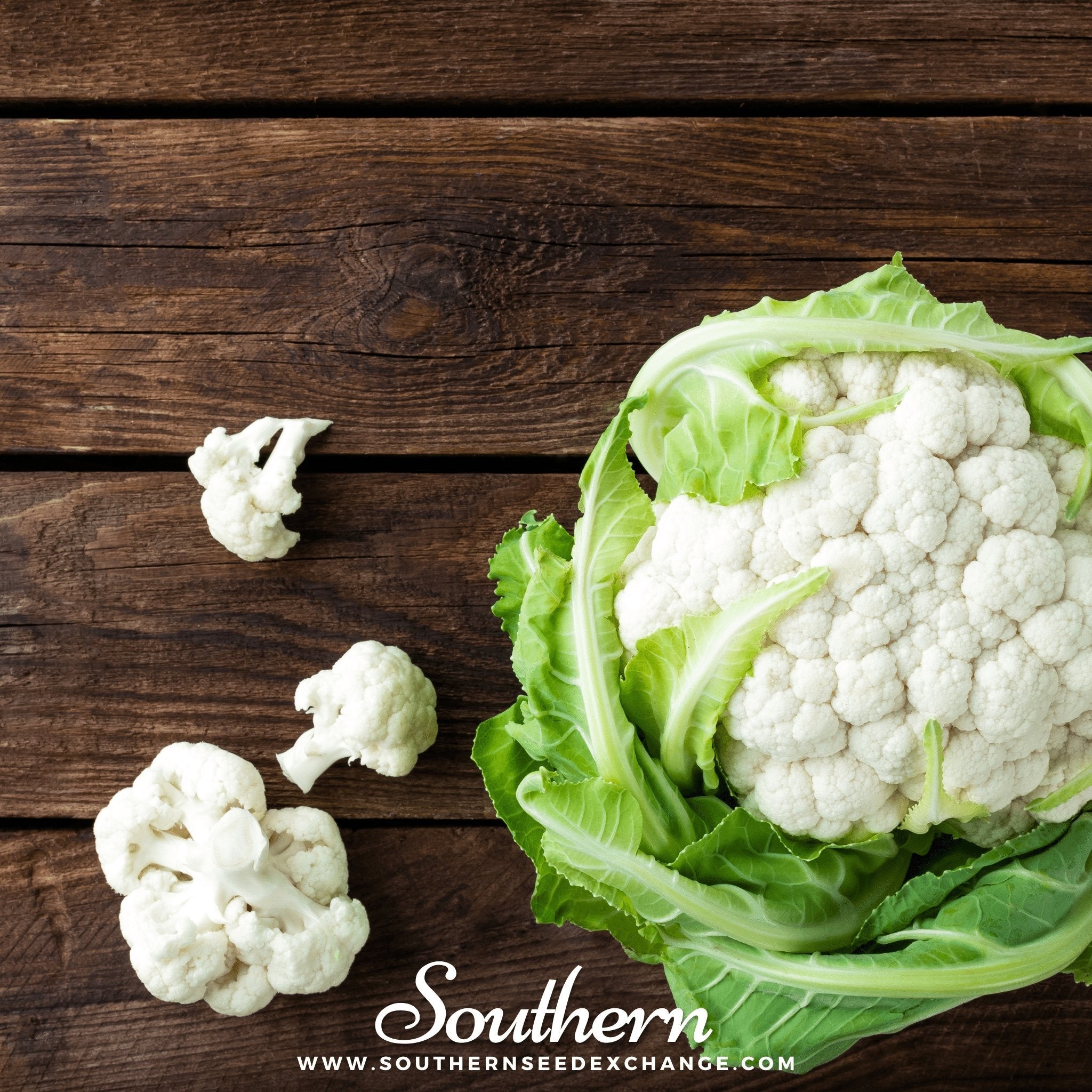 Cauliflower, Snowball Y Improved (Brassica Oleracea var. Botrytis) - 200 Seeds seed packet from Seed Therapy – American - grown, heirloom seeds