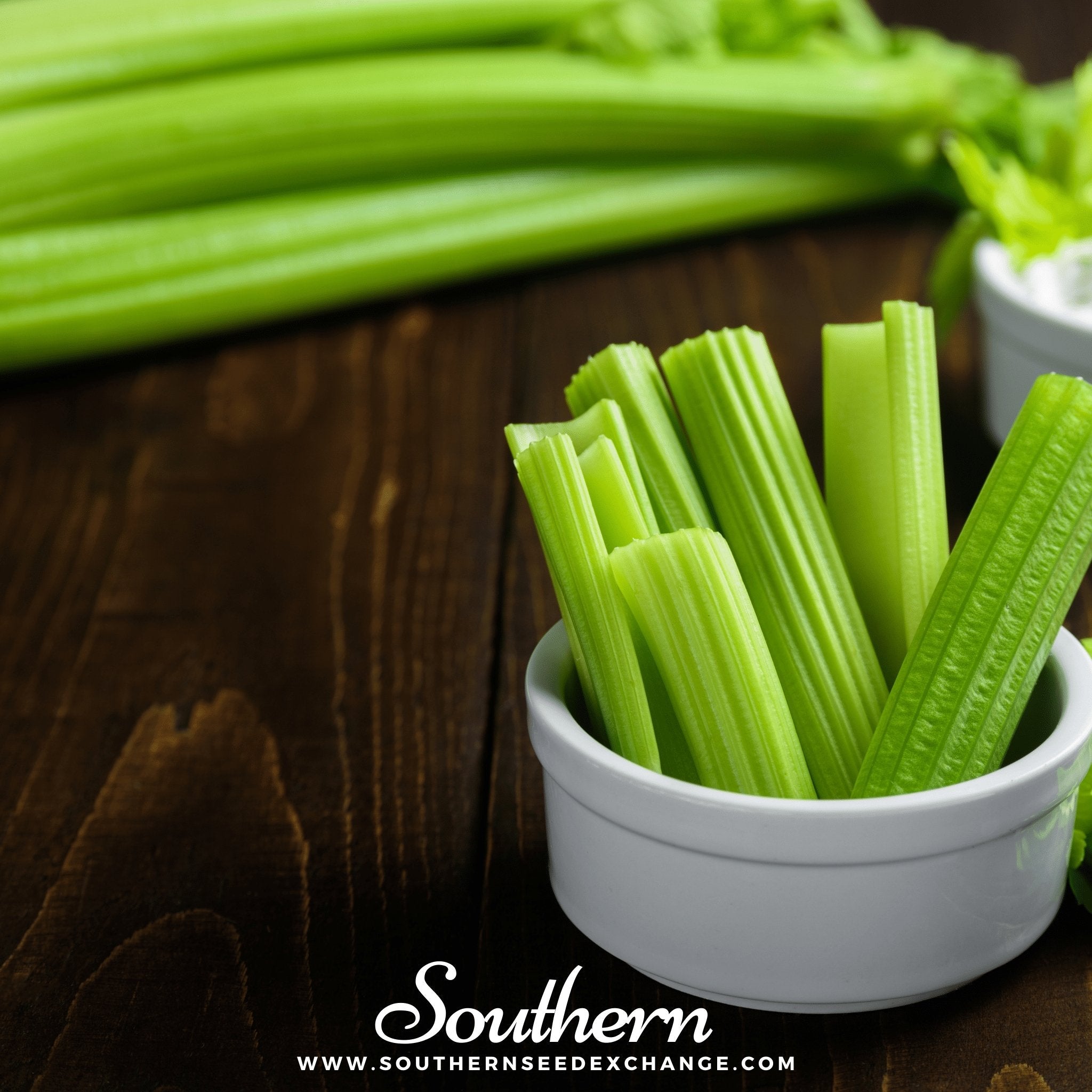 Celery, Utah 52 - 70 (Apium Graveolens) - 300 Seeds seed packet from Seed Therapy – American - grown, heirloom seeds