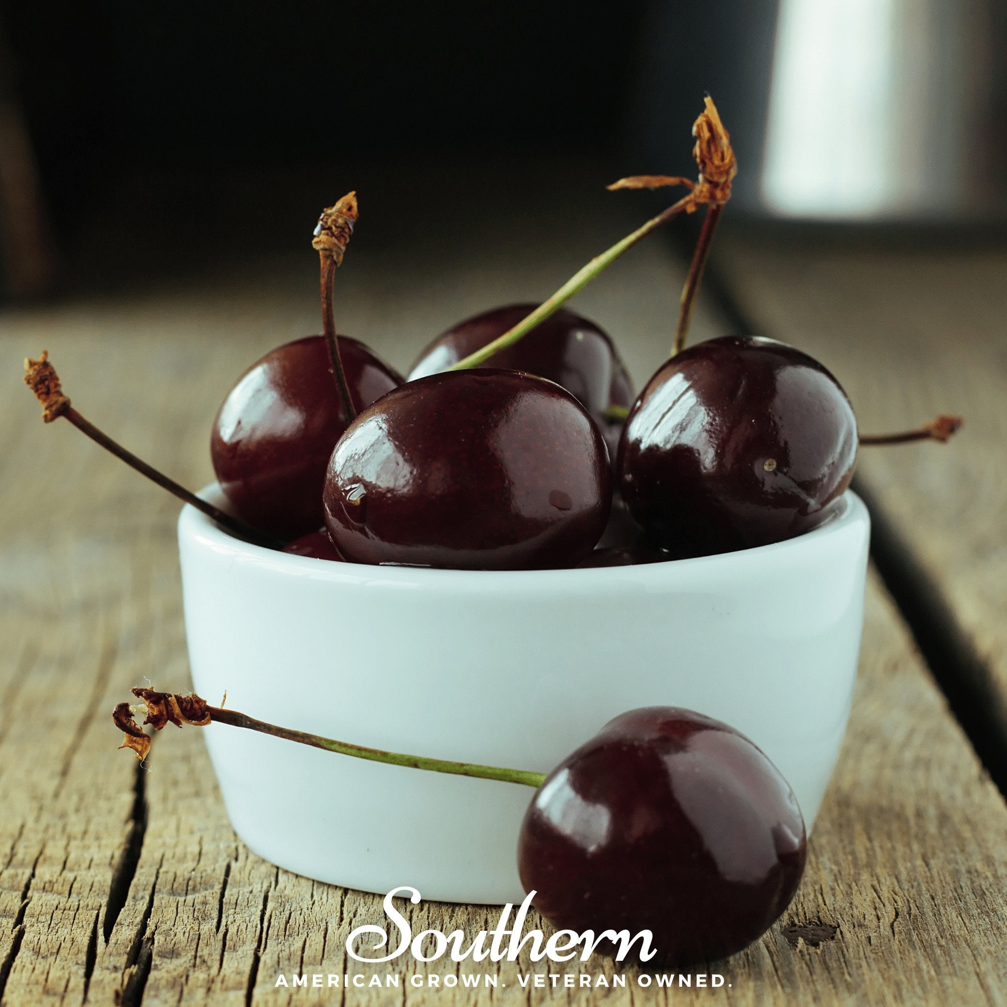 Cherry, Black (Prunus serotina) - 15 Seeds seed packet from Seed Therapy – American - grown, heirloom seeds