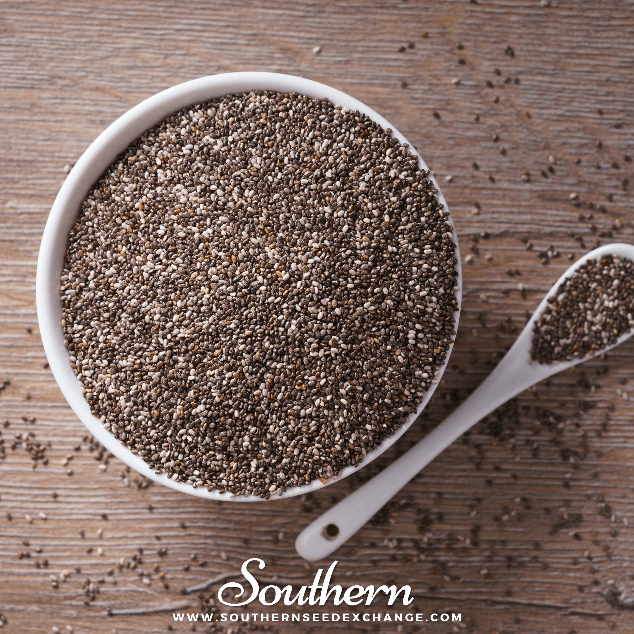 Chia (Salvia Hispanica) - 250 Seeds seed packet from Seed Therapy – American - grown, heirloom seeds