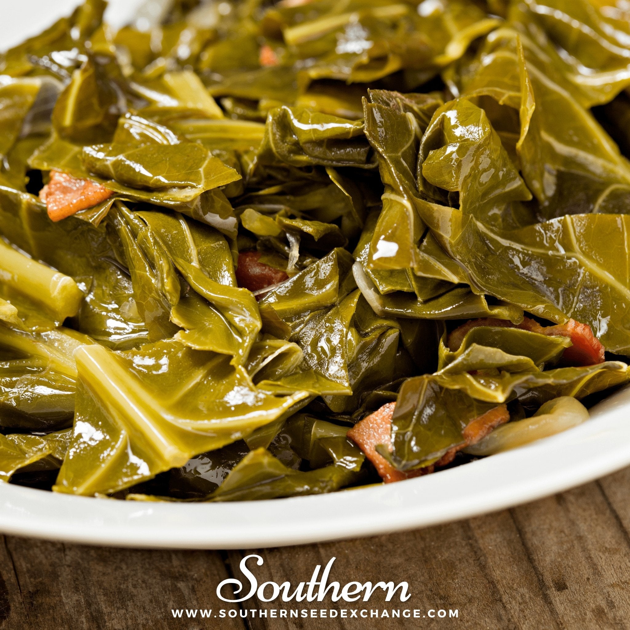 Collard, Champion (Brassica oleracea) - 100 Seeds seed packet from Seed Therapy – American - grown, heirloom seeds