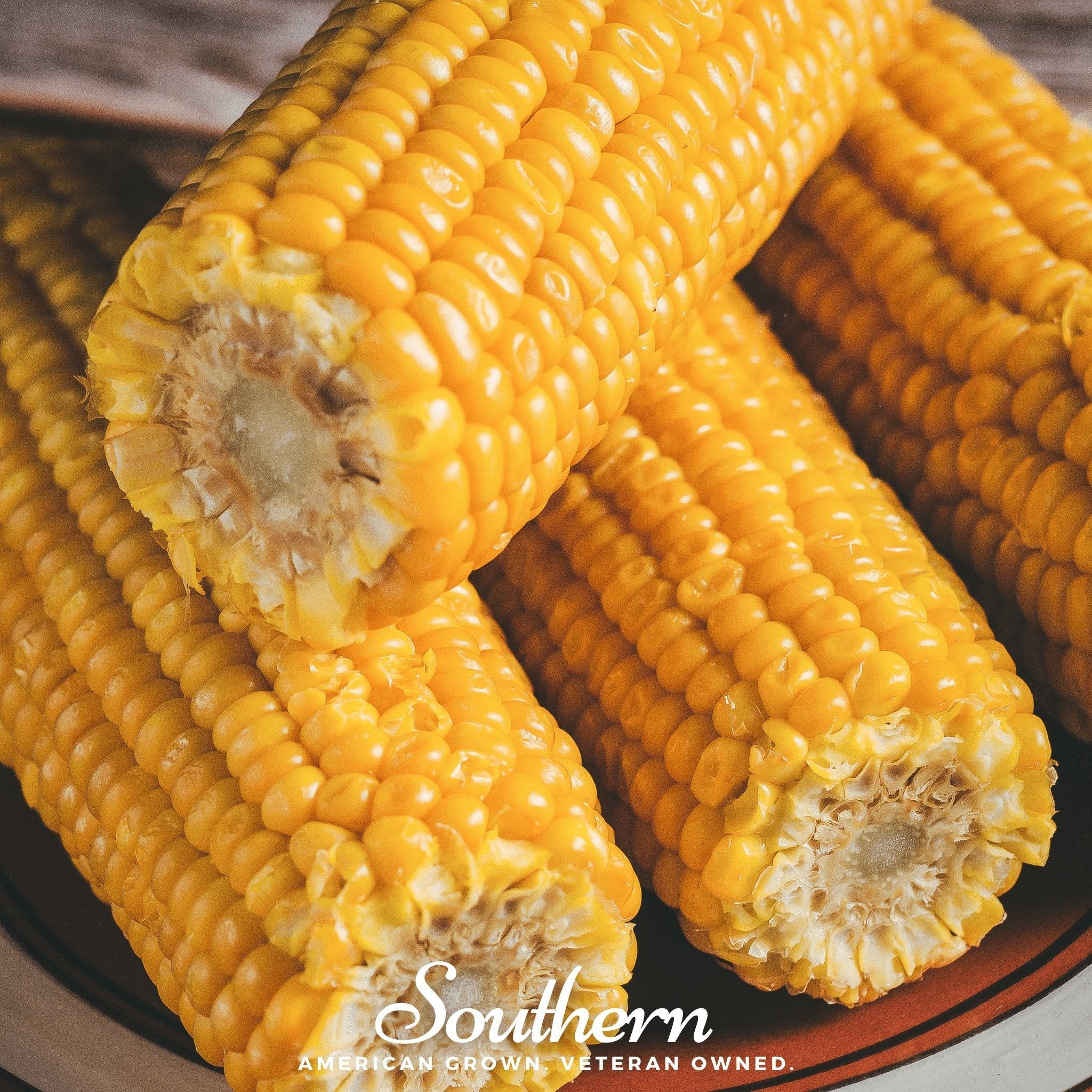 Corn, Bodacious (Zea mays) - 60 Seeds seed packet from Seed Therapy – American - grown, heirloom seeds