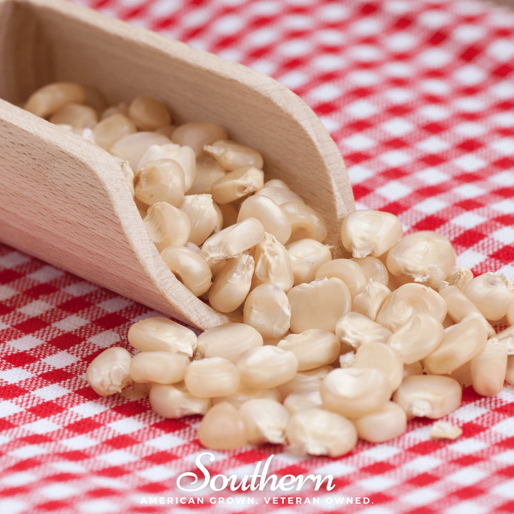 Corn, Stowells Evergreen Sweet (Zea mays) - 30 Seeds seed packet from Seed Therapy – American - grown, heirloom seeds