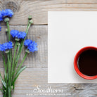 Cornflower, Tall Blue (Centaurea Cyanus) - 100 Seeds seed packet from Seed Therapy – American - grown, heirloom seeds