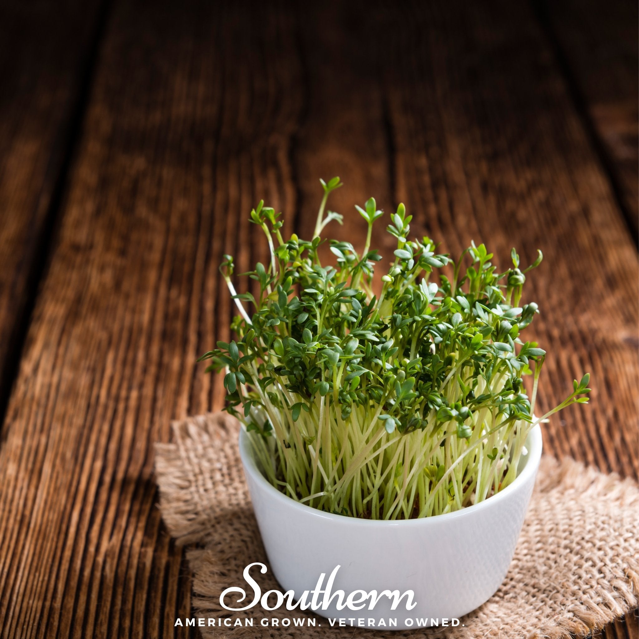 Cress, Pepper (Lepidium sativum) - 500 Seeds seed packet from Seed Therapy – American - grown, heirloom seeds