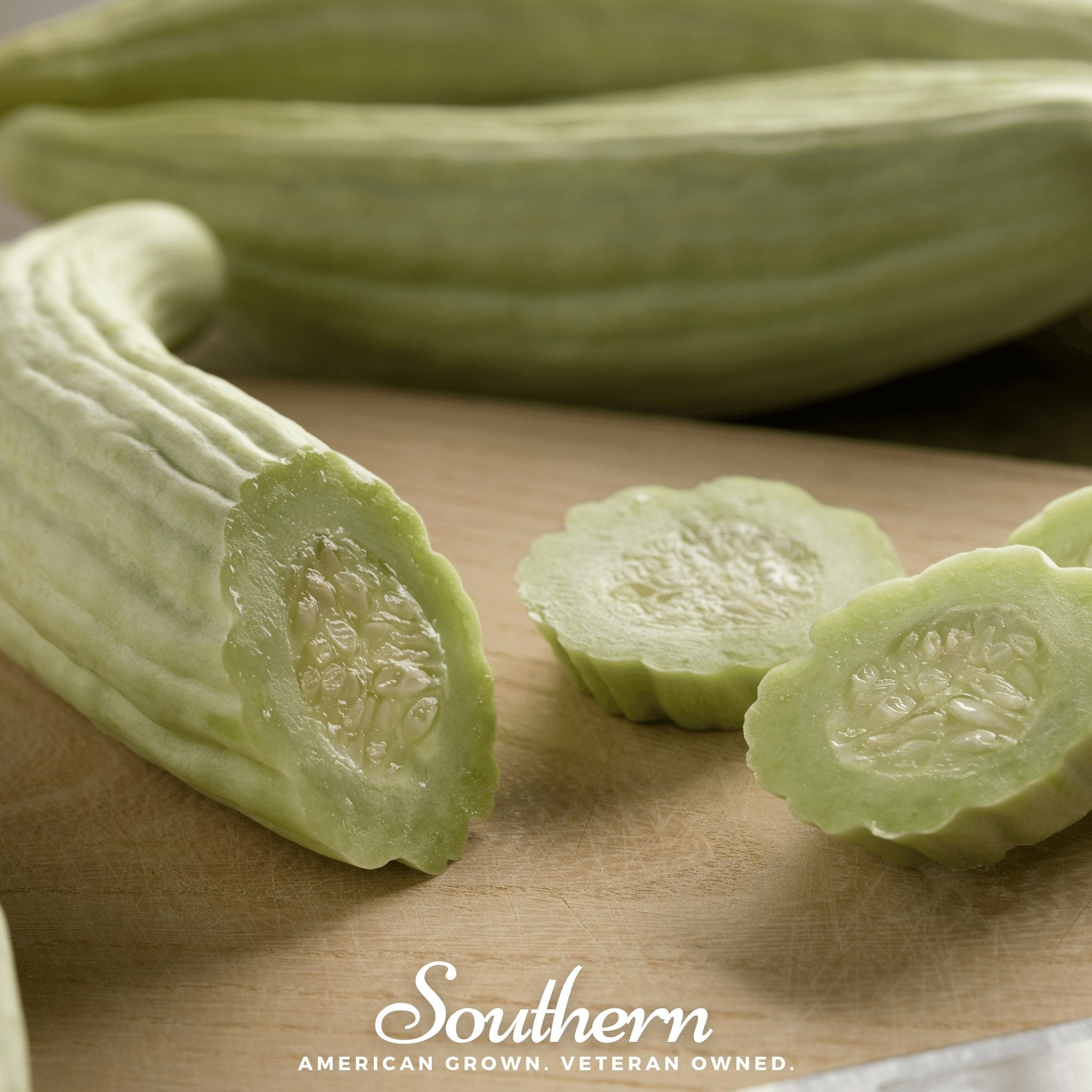 Cucumber, Armenian Yard - Long (Cucumis melo) - 30 Seeds | Seed Therapy – Heirloom Garden Seeds