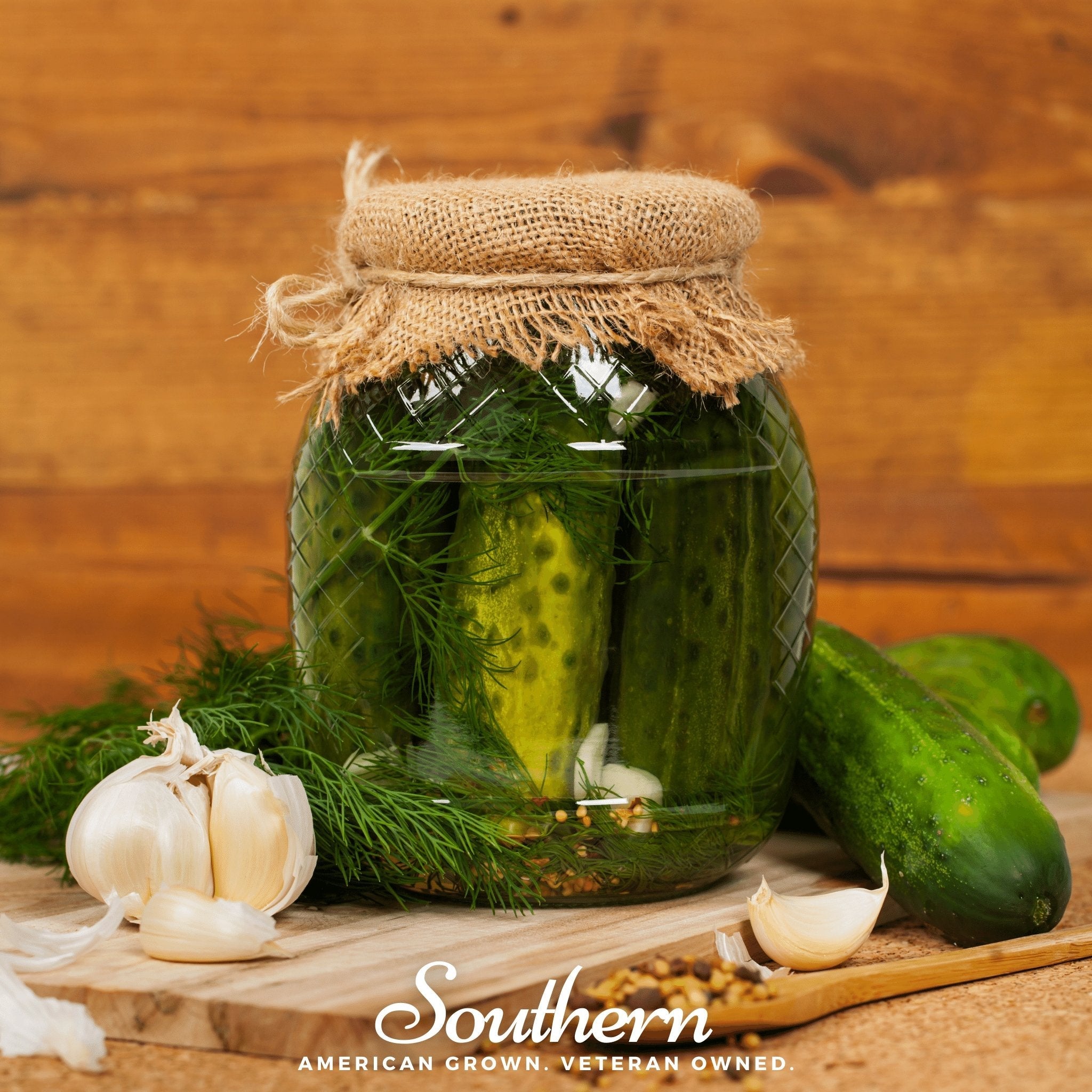 Dill, Dukat (Anethum graveolens) - 100 Seeds seed packet from Seed Therapy – American - grown, heirloom seeds