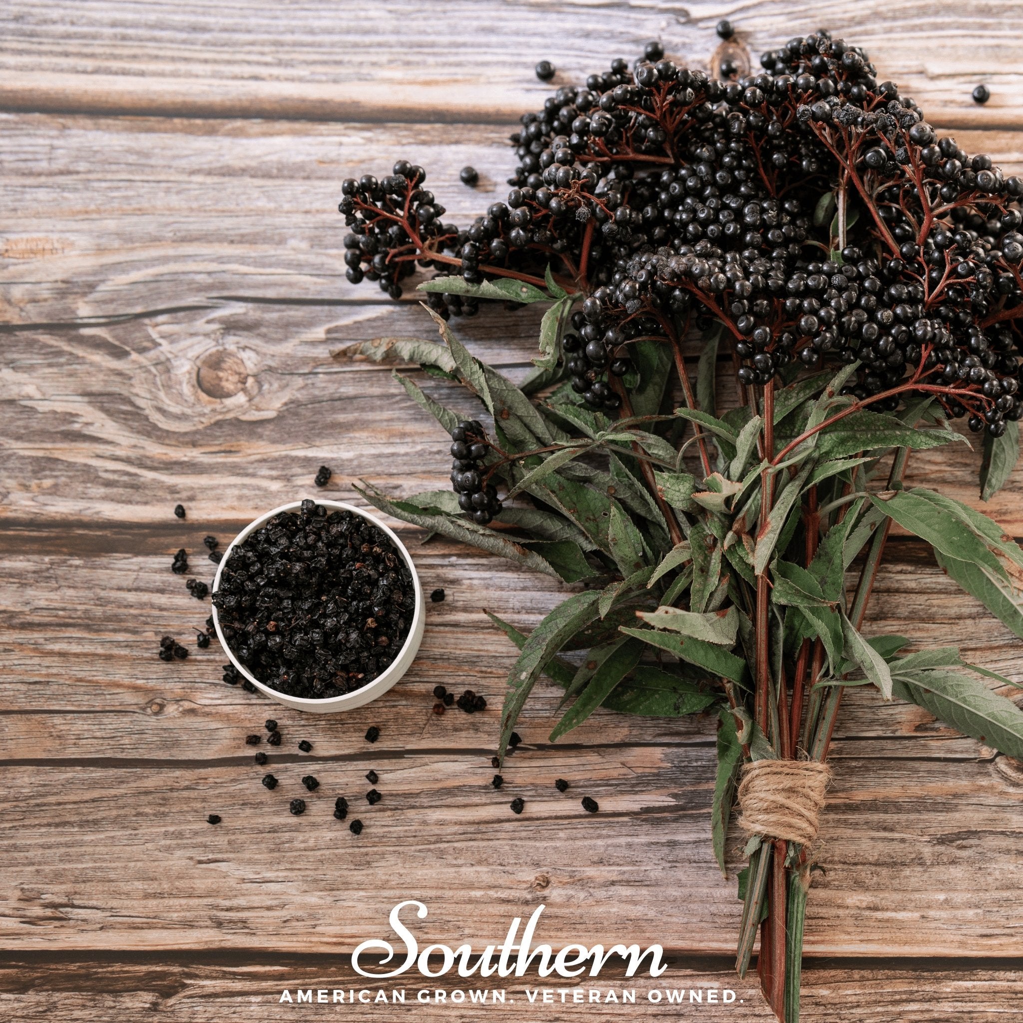 Dried Elderberry - 1 cups (Sambucus nigra) seed packet from Seed Therapy – American - grown, heirloom seeds