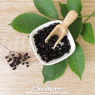 Dried Elderberry - 1 cups (Sambucus nigra) seed packet from Seed Therapy – American - grown, heirloom seeds